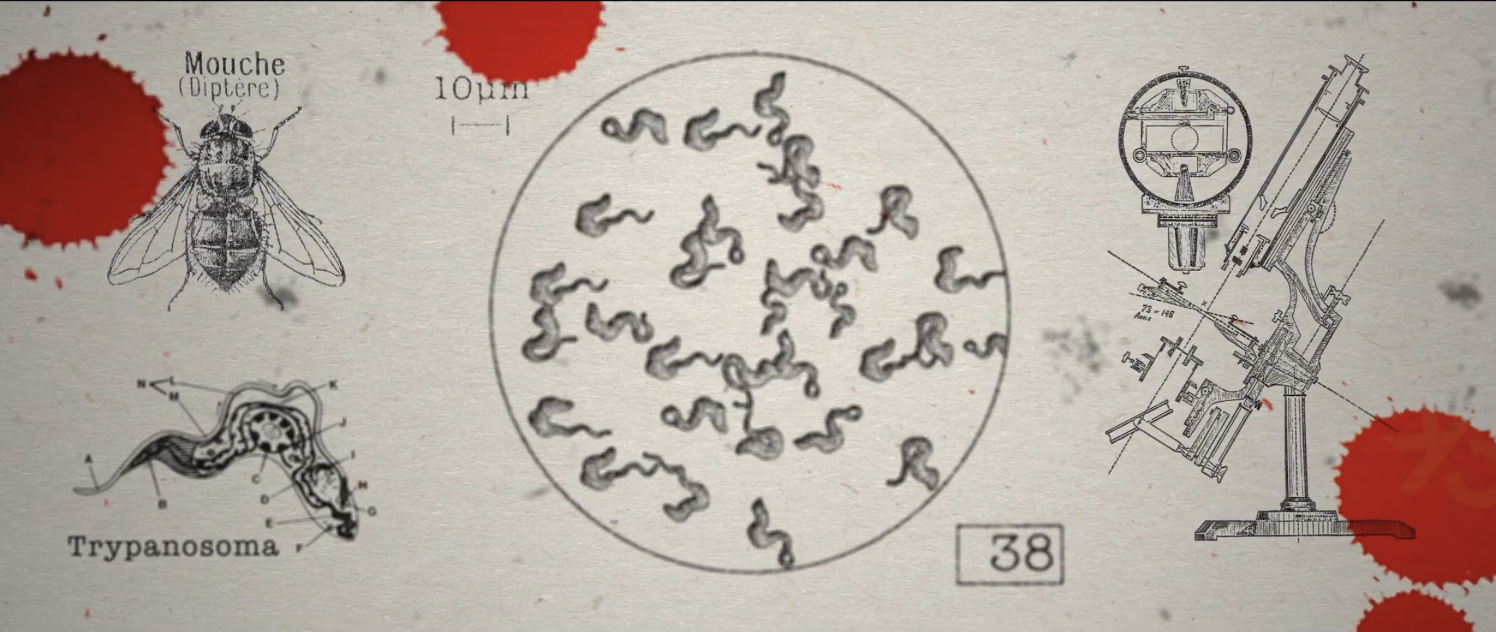 Documentary: A Doctor's Dream