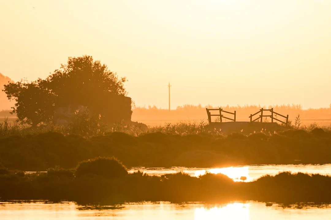 Sortida_Sol_Delta_FotoNatura.jpg