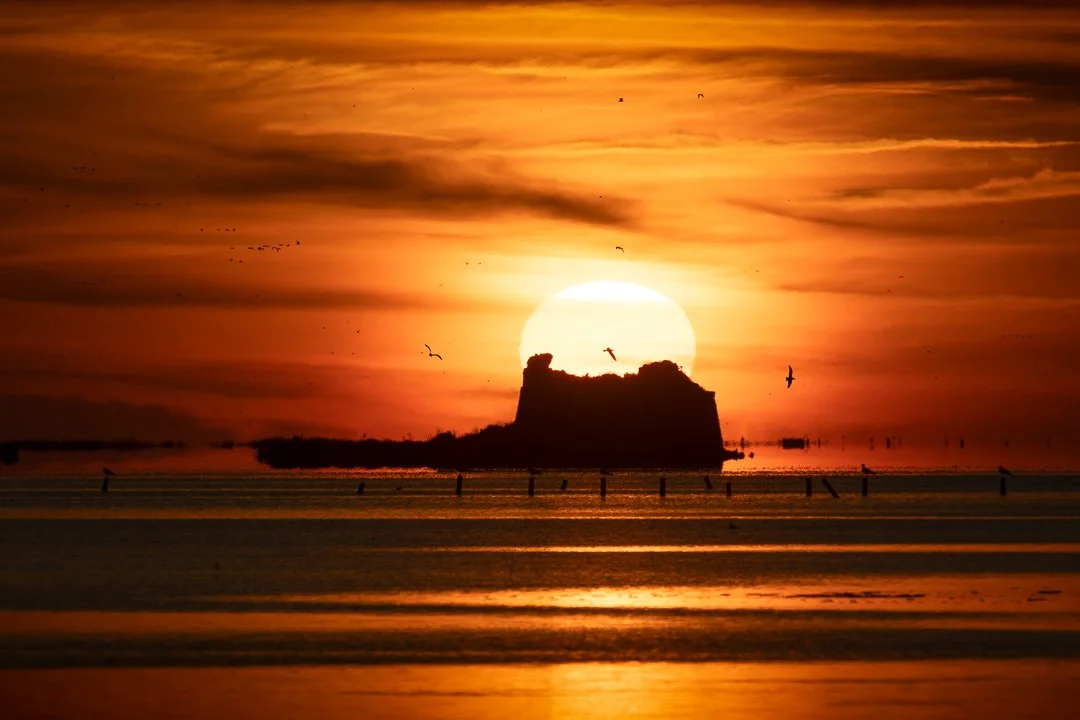 Sol al Delta