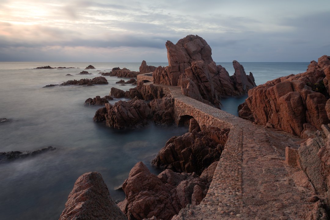 Sortida_Sol_Mar_fotonatura.jpg