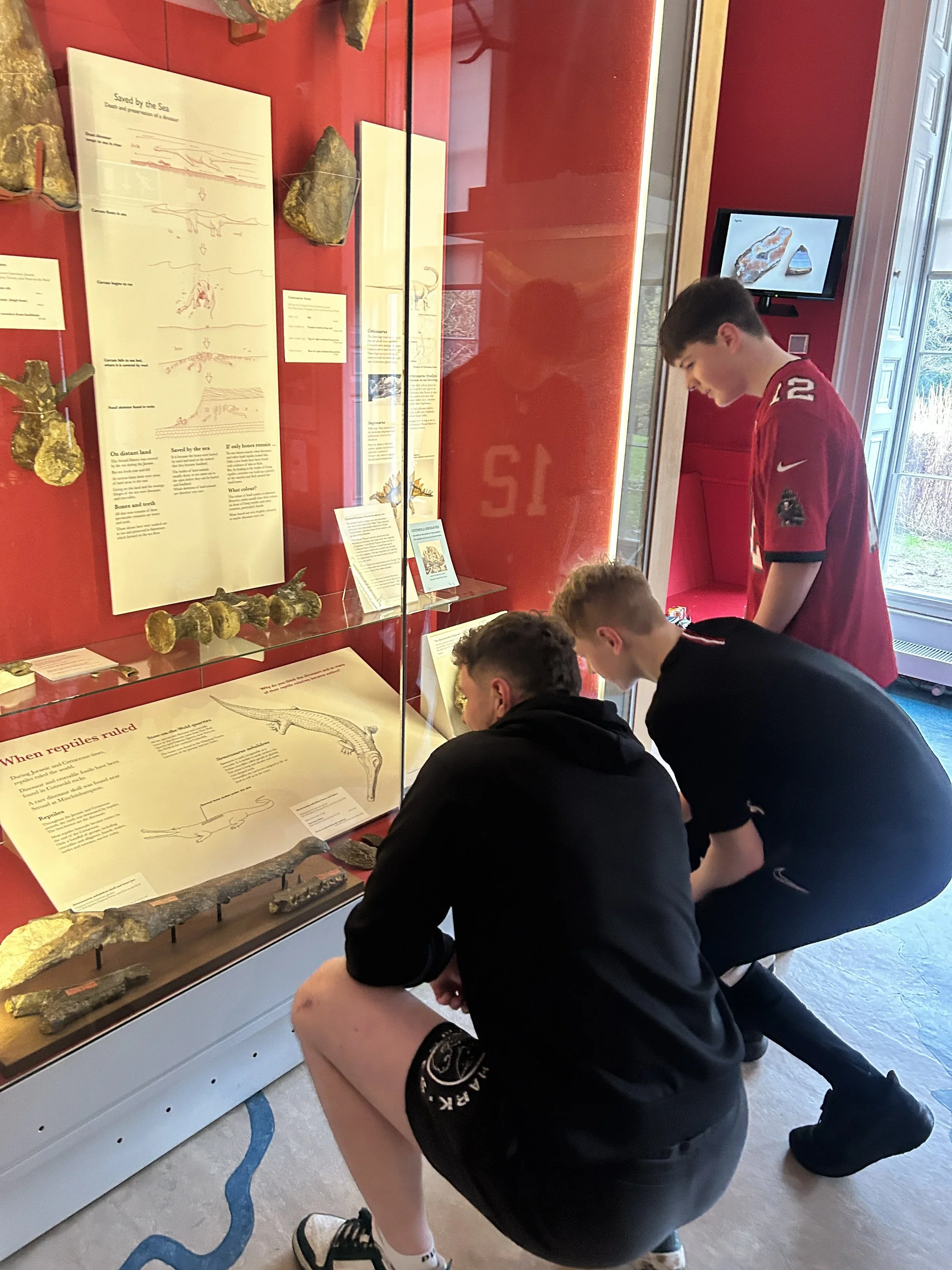 Three young men are observing and reading exhibits in a museum display case with red background, showcasing fossils and informational posters.