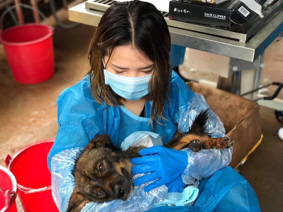 If Suki Sue Planned To Use Hashtag #TRUTH That Means Writing The Truth, The Whole Truth And Nothing But The Truth.