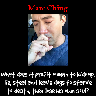 Marc Ching And His Fantasy Island Historic South Korean Dog Meat&nbsp;Agreement