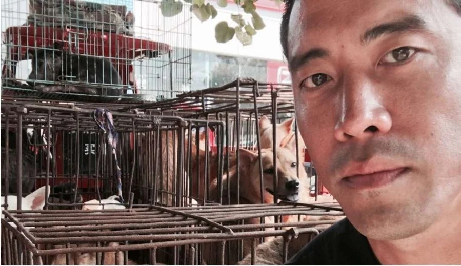 When it Started : Marc Ching 