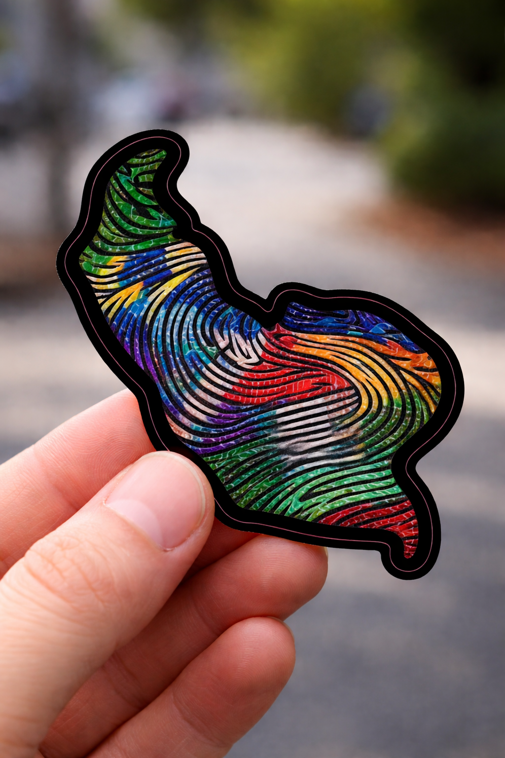 Imprinted In Somerville