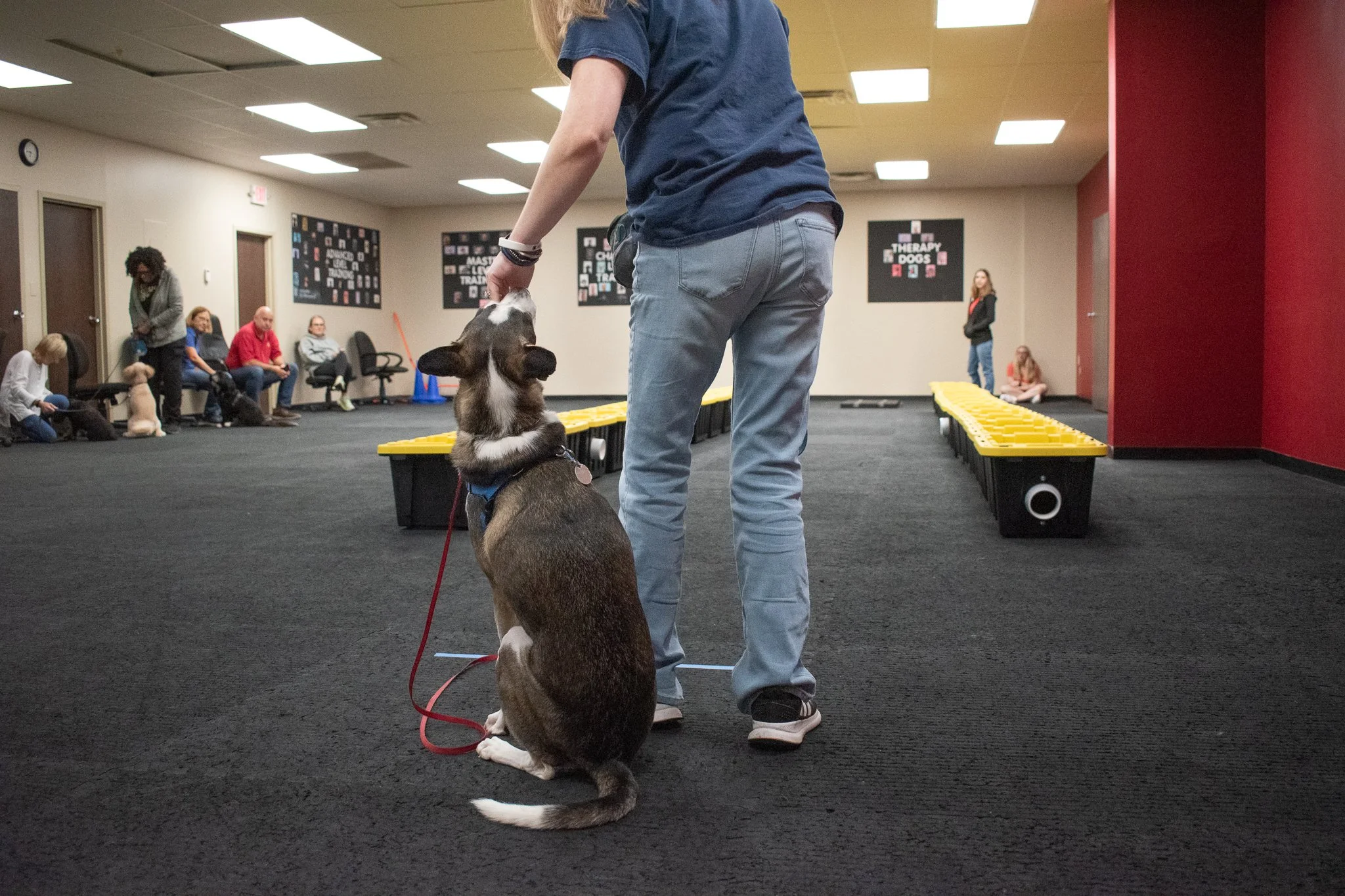 pintublooper1 (1 of 1)-2.jpg