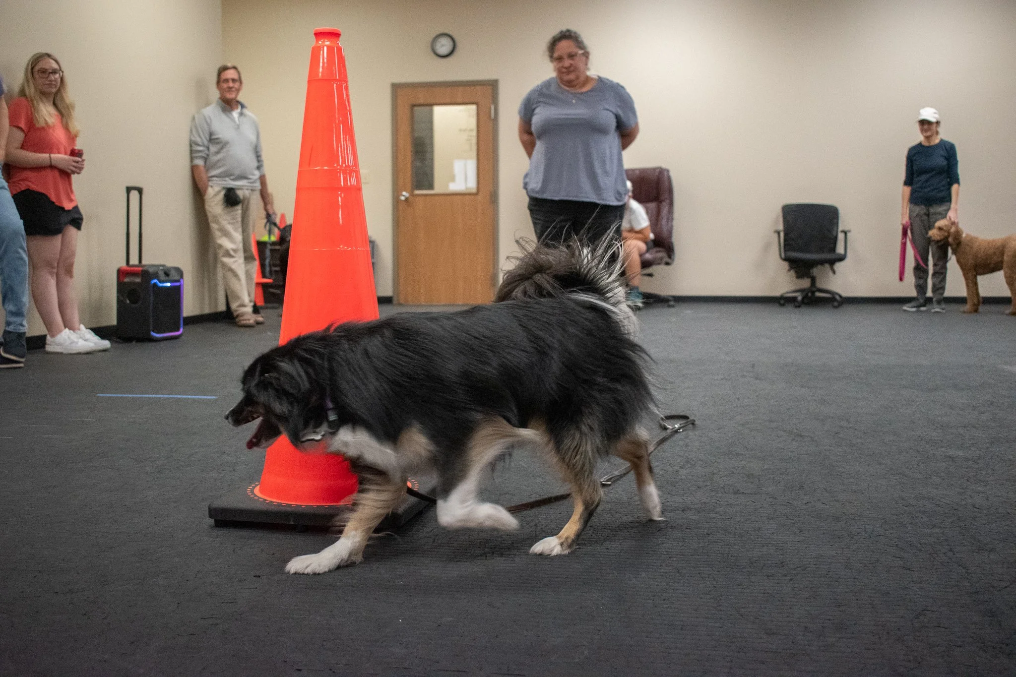 pintublooper1 (1 of 1)-19.jpg