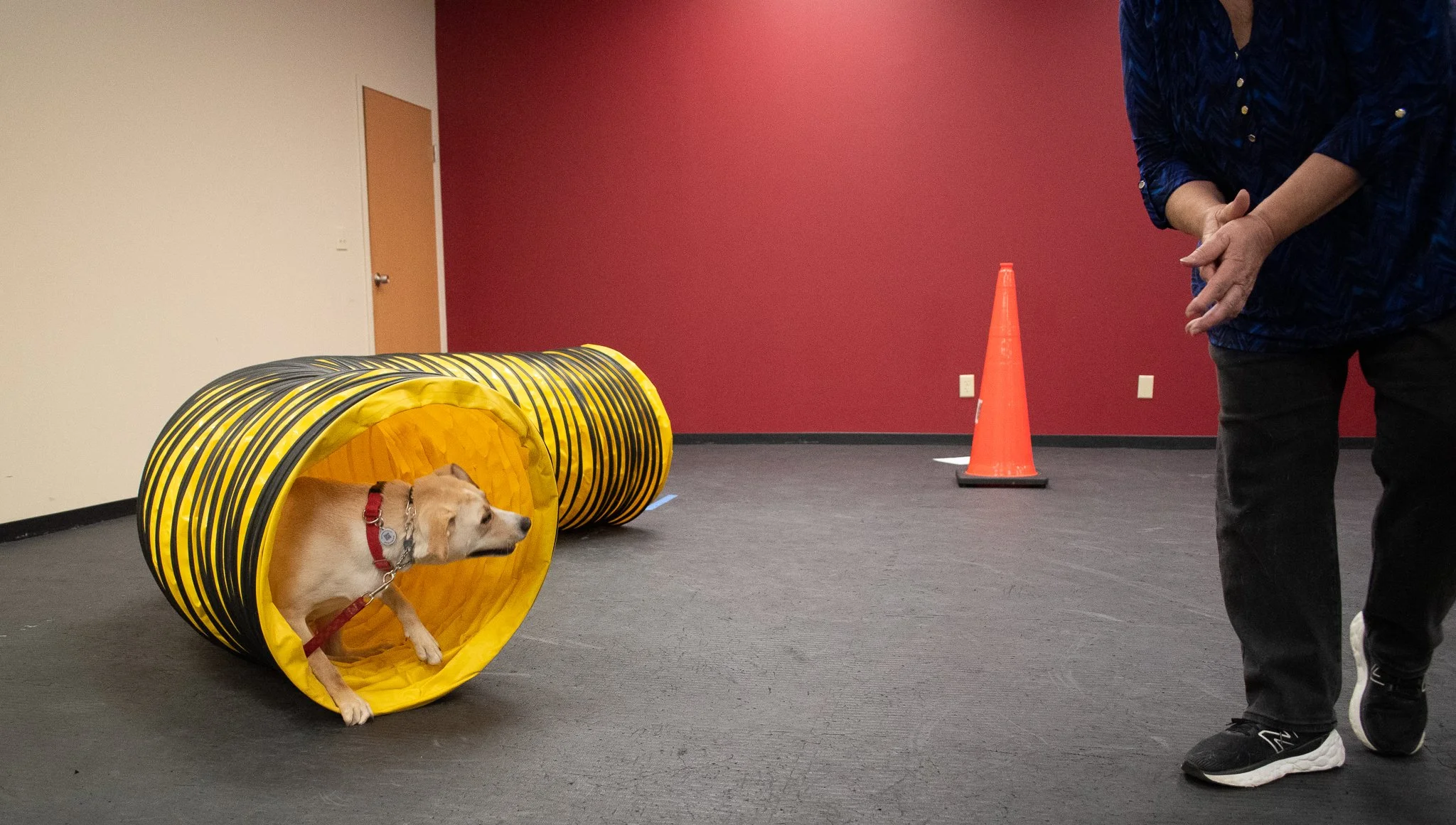 pintublooper1 (1 of 1)-4 (1).jpg