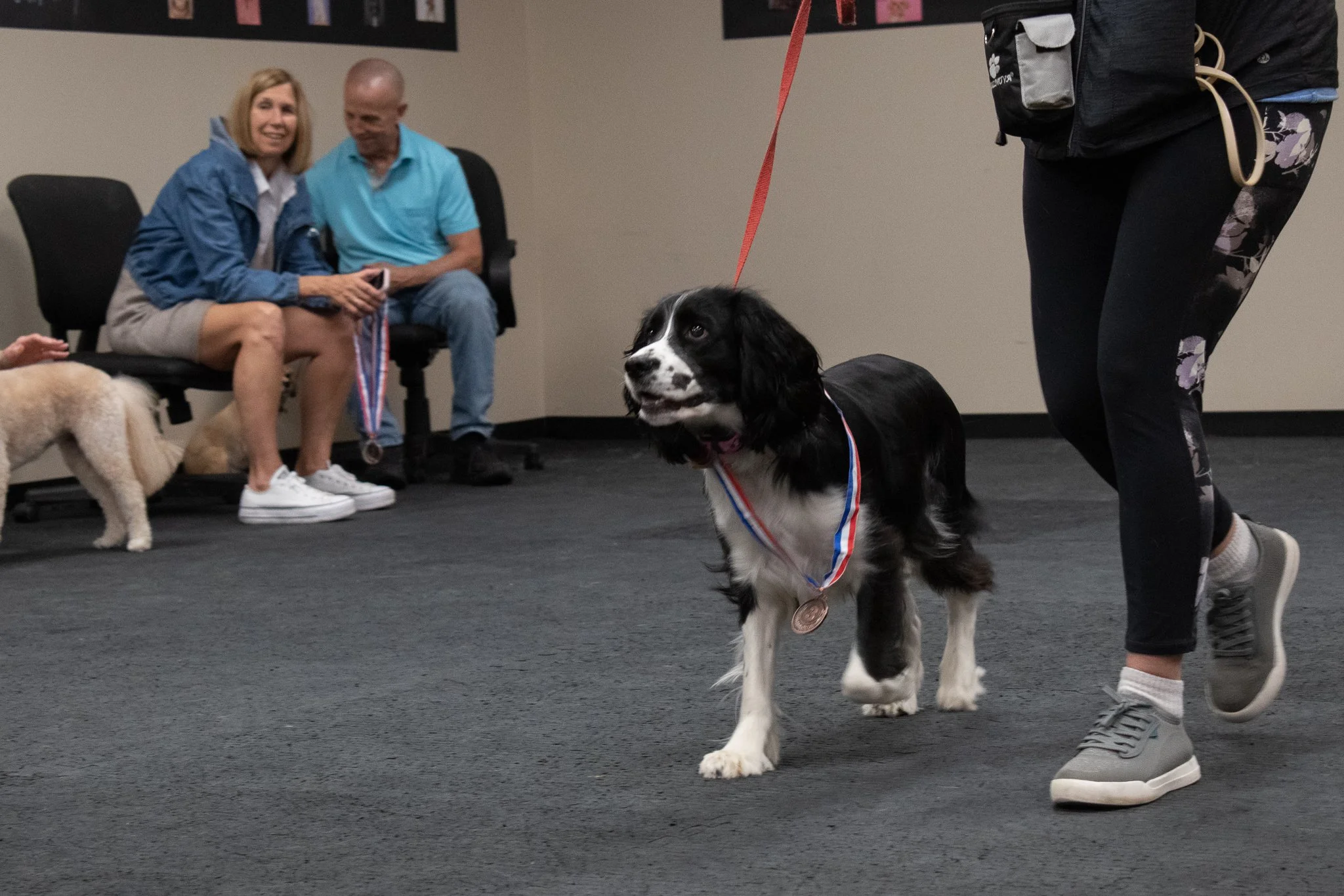 pintublooper1 (1 of 1)-18.jpg