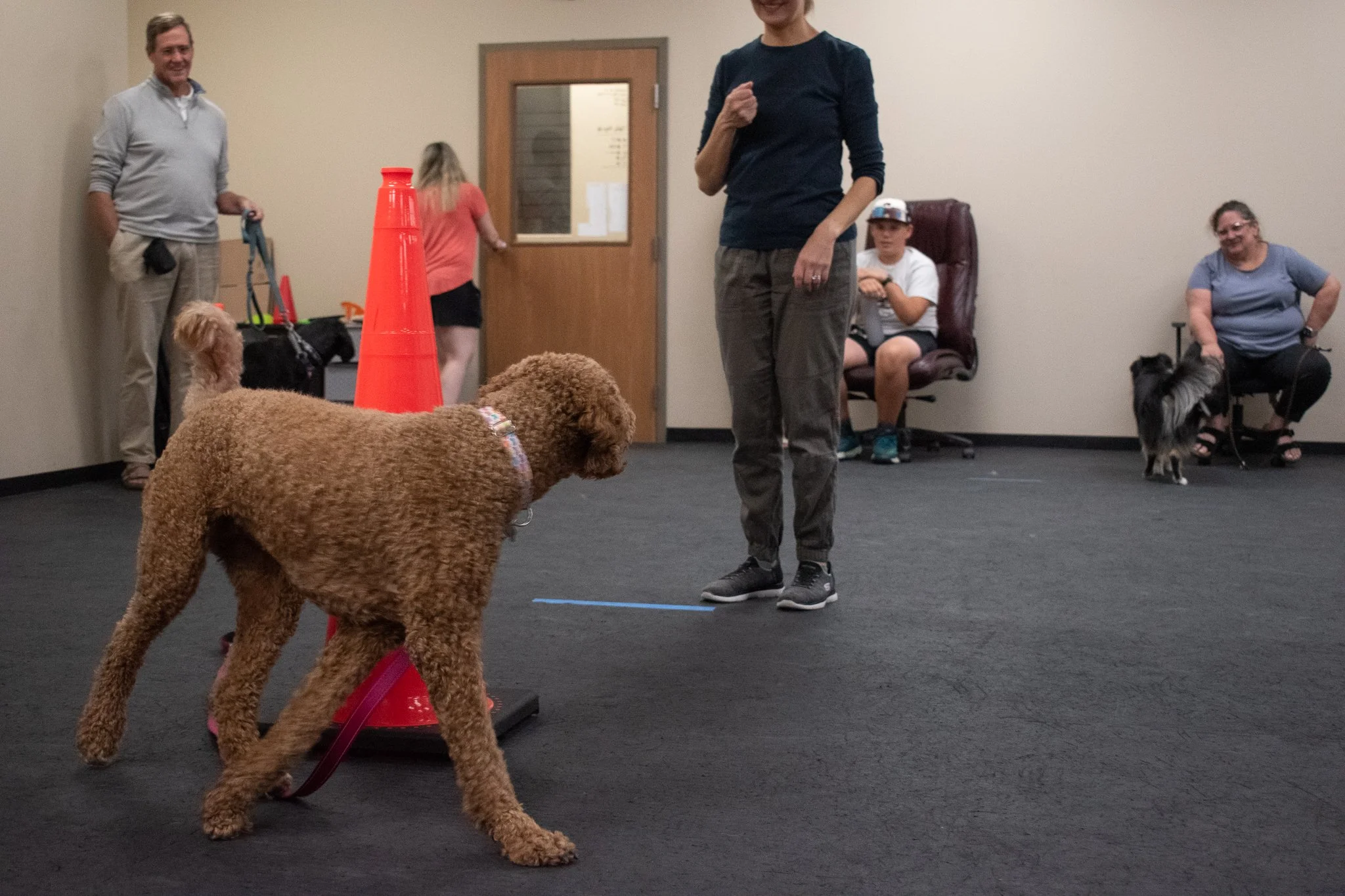 pintublooper1 (1 of 1)-15.jpg