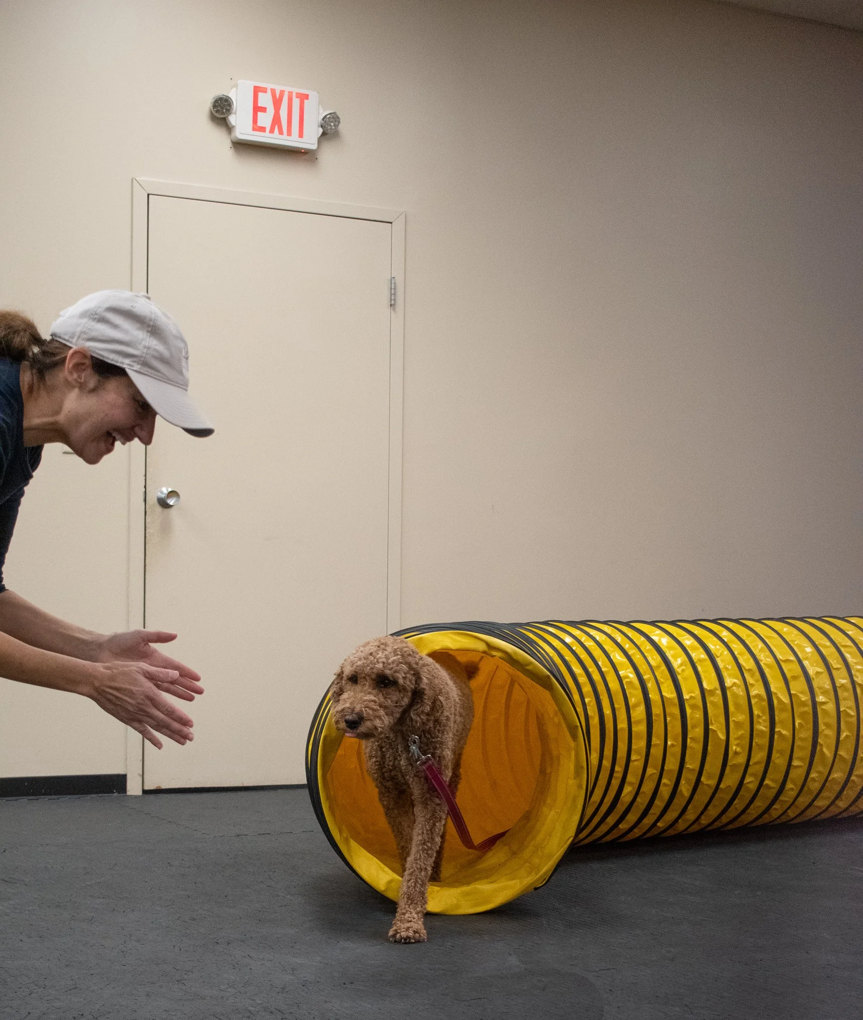 pintublooper1 (1 of 1)-21.jpg