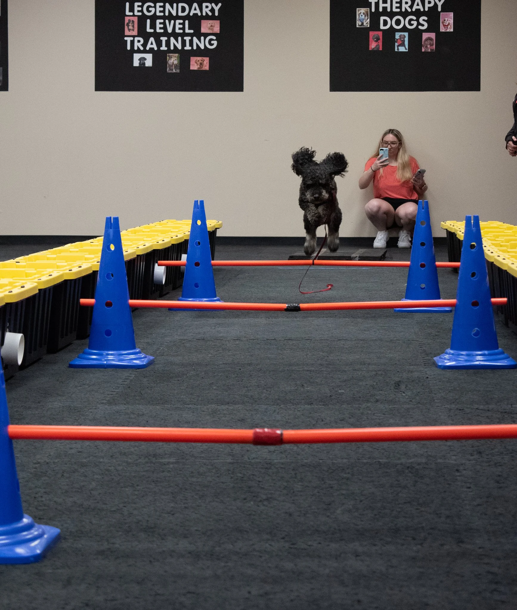 pintublooper1 (1 of 1)-25.jpg