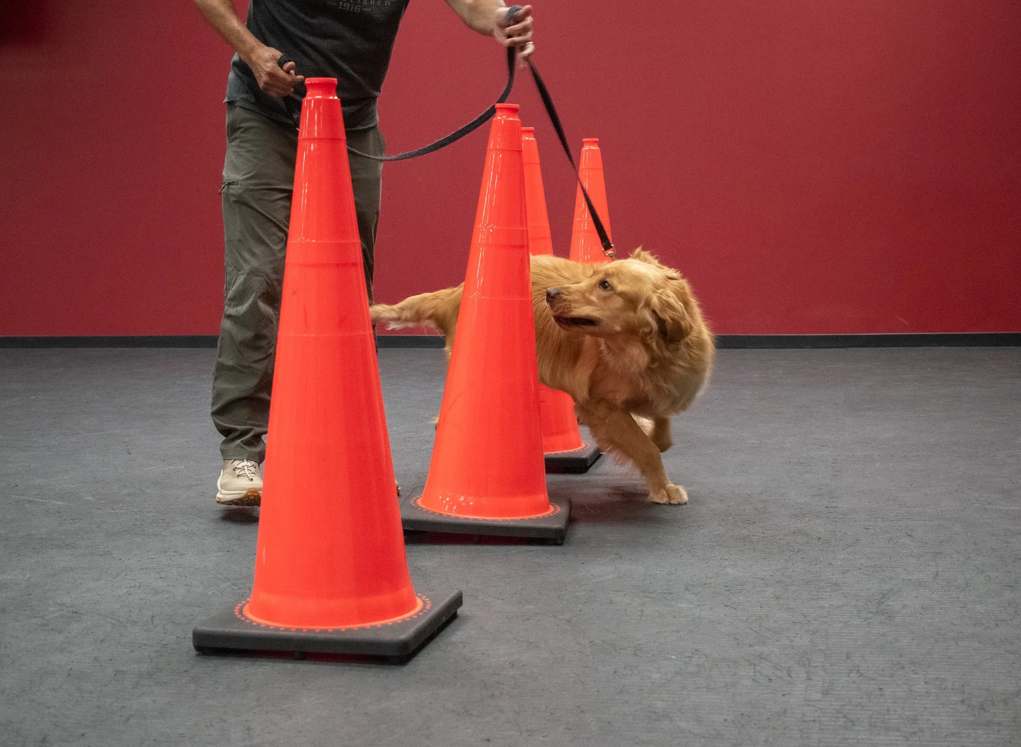 pintublooper1 (1 of 1)-10 (1).jpg