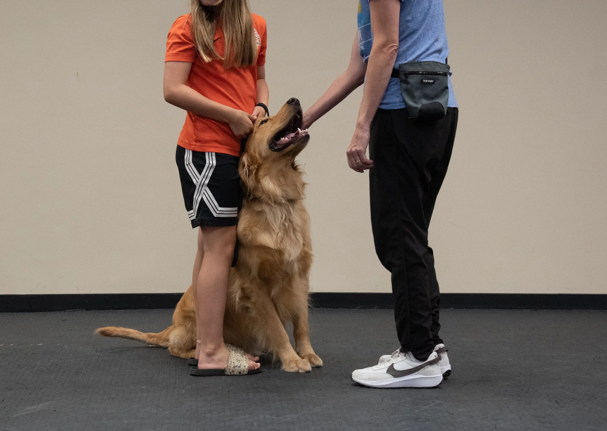 pintublooper1 (1 of 1)-35.jpg