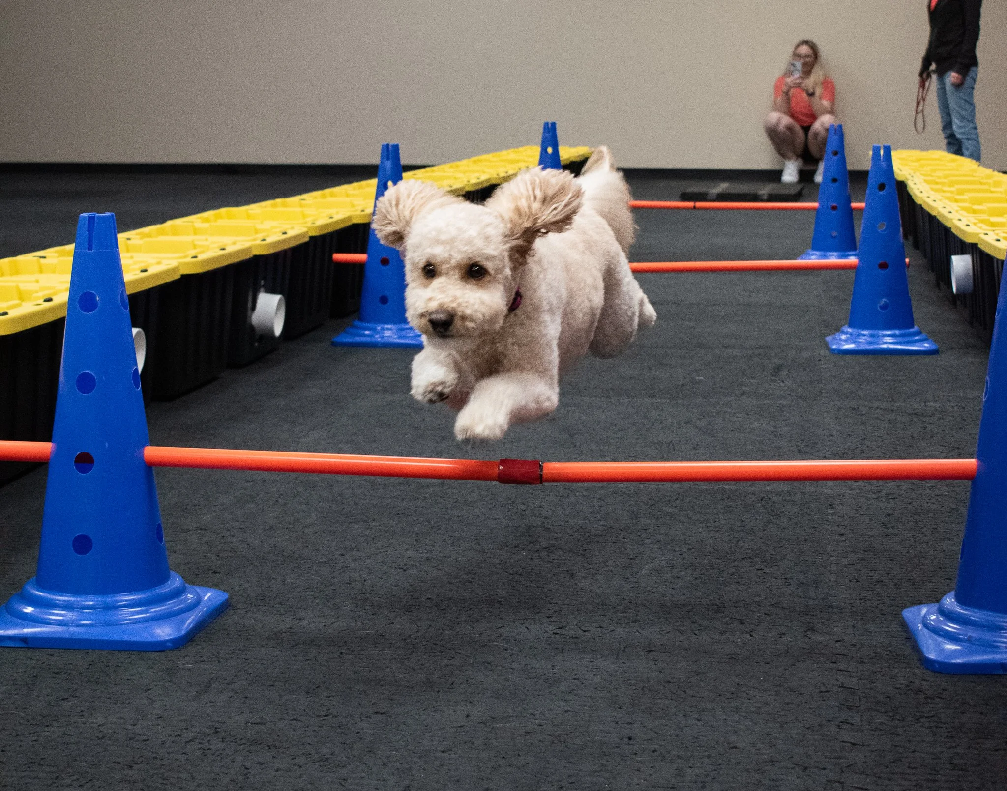 pintublooper1 (1 of 1)-12 (1).jpg