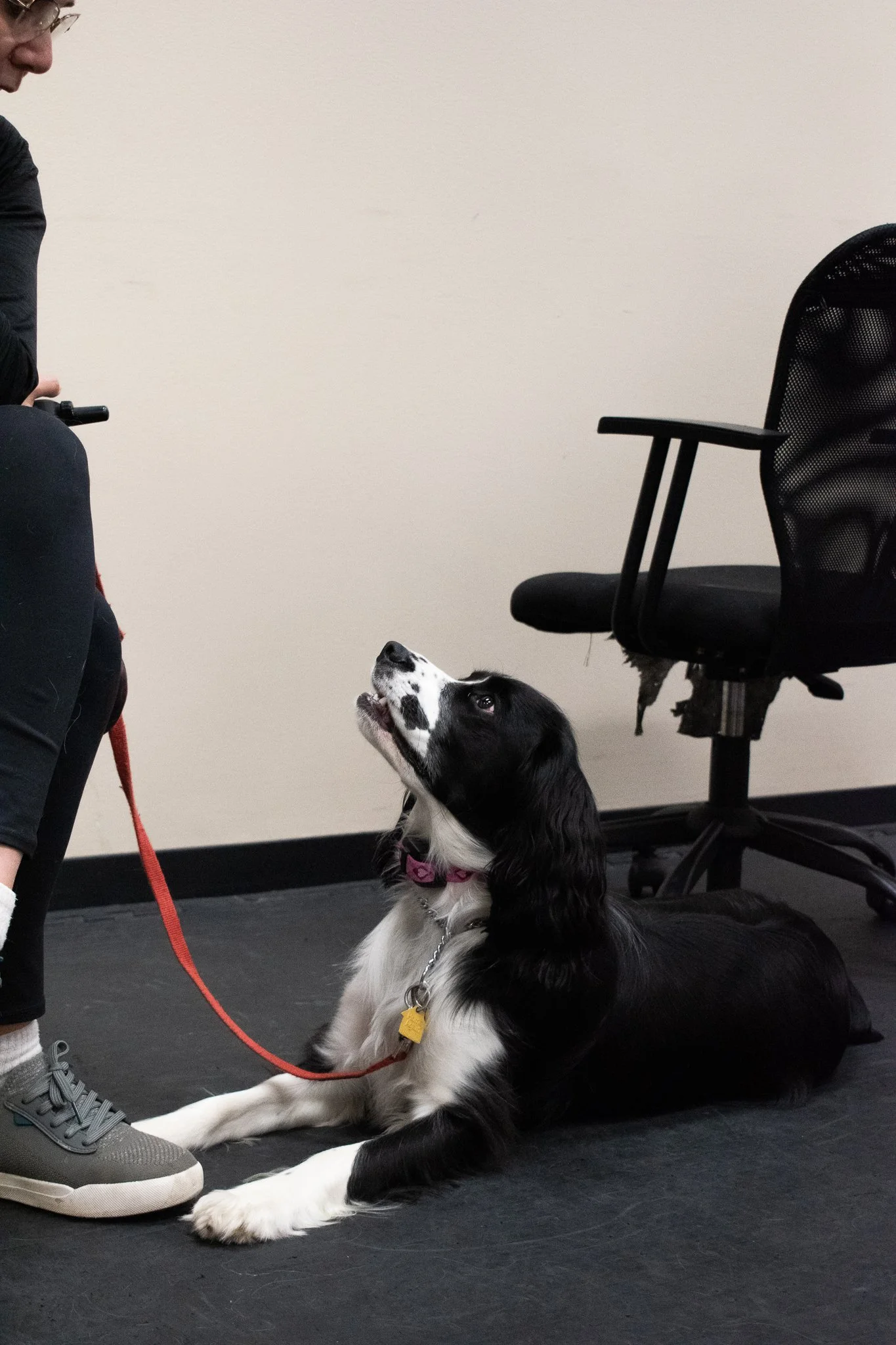 pintublooper1 (1 of 1)-29.jpg