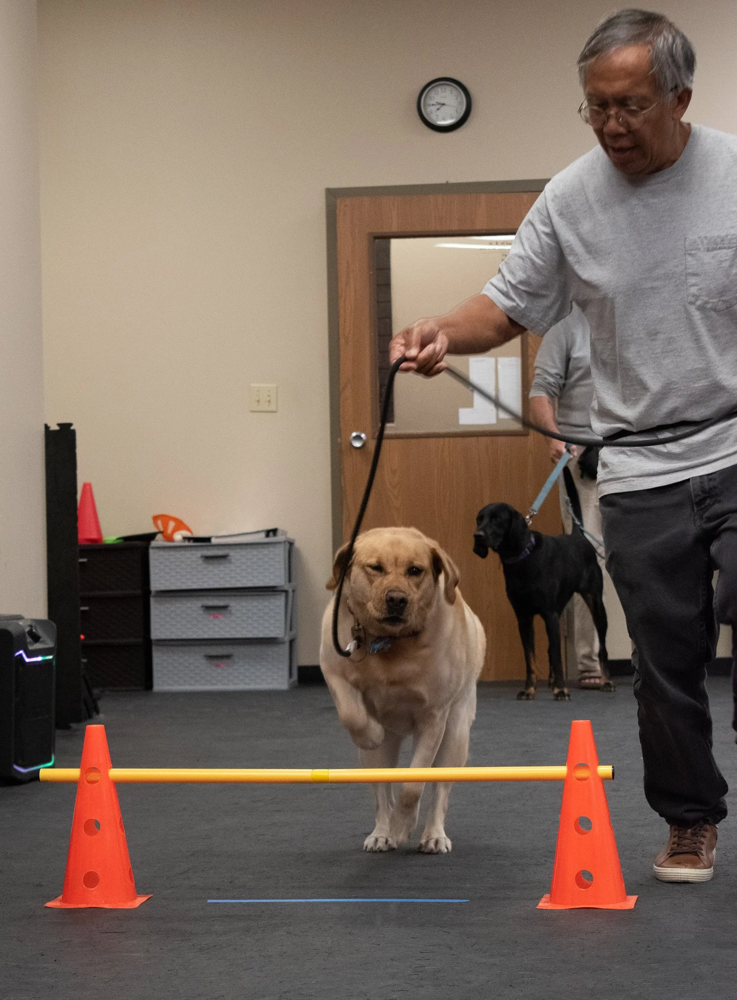 pintublooper1 (1 of 1)-36.jpg