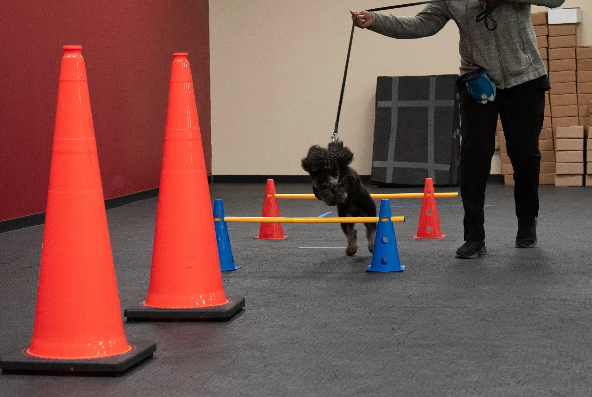 pintublooper1 (1 of 1)-22.jpg