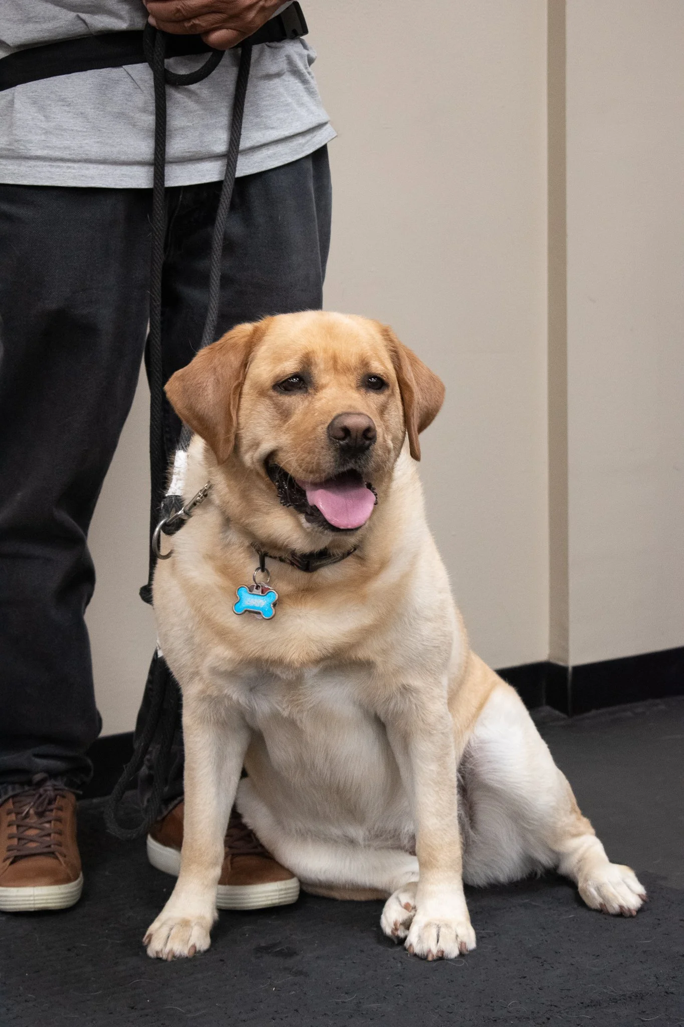 pintublooper1 (1 of 1)-11.jpg