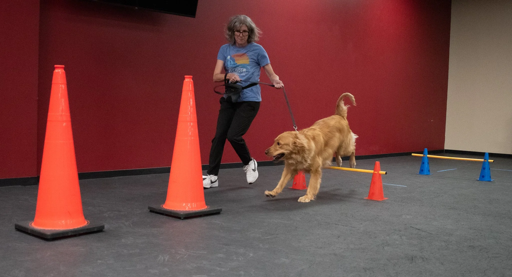 pintublooper1 (1 of 1)-13.jpg