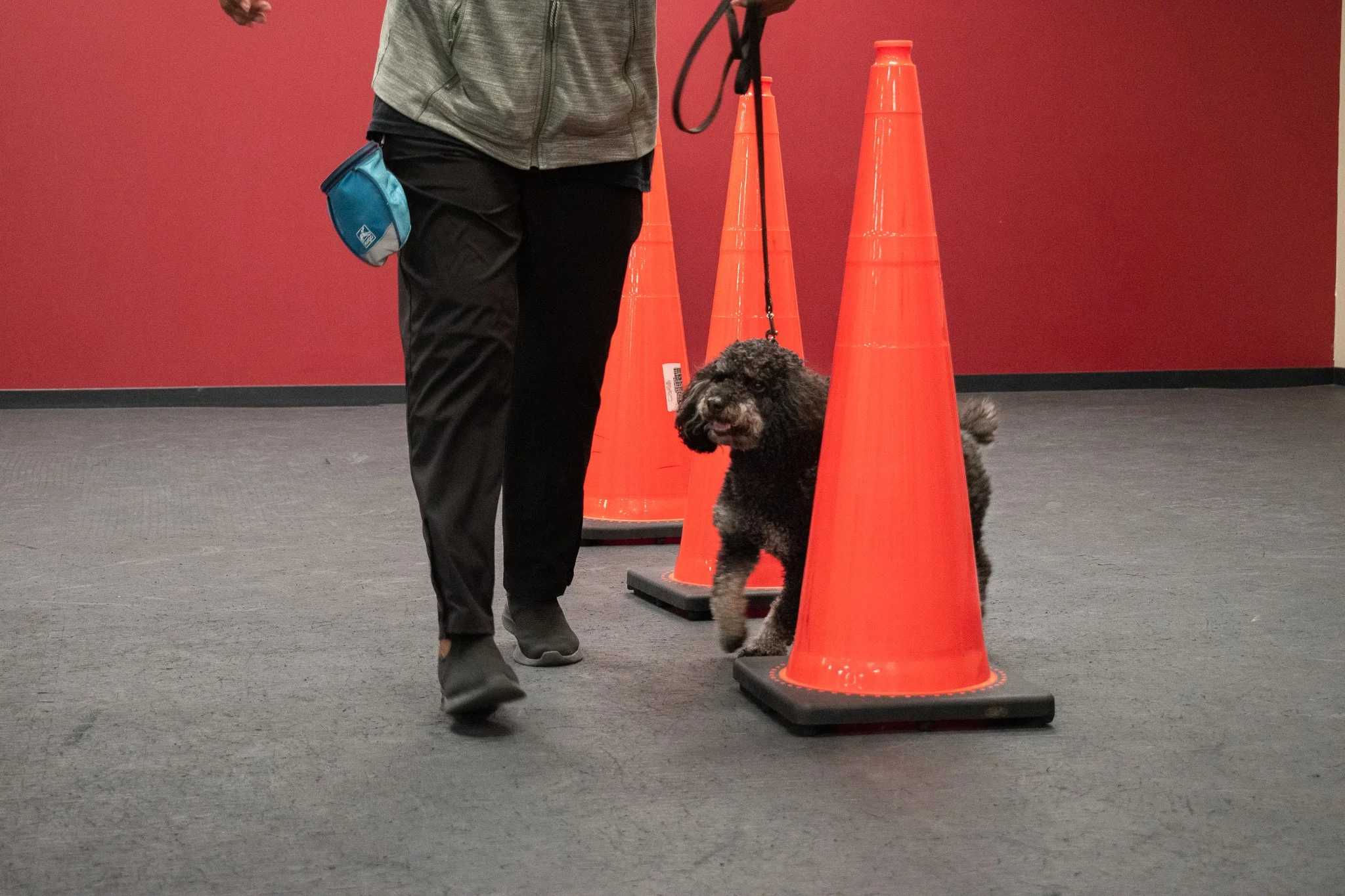 pintublooper1 (1 of 1)-26.jpg