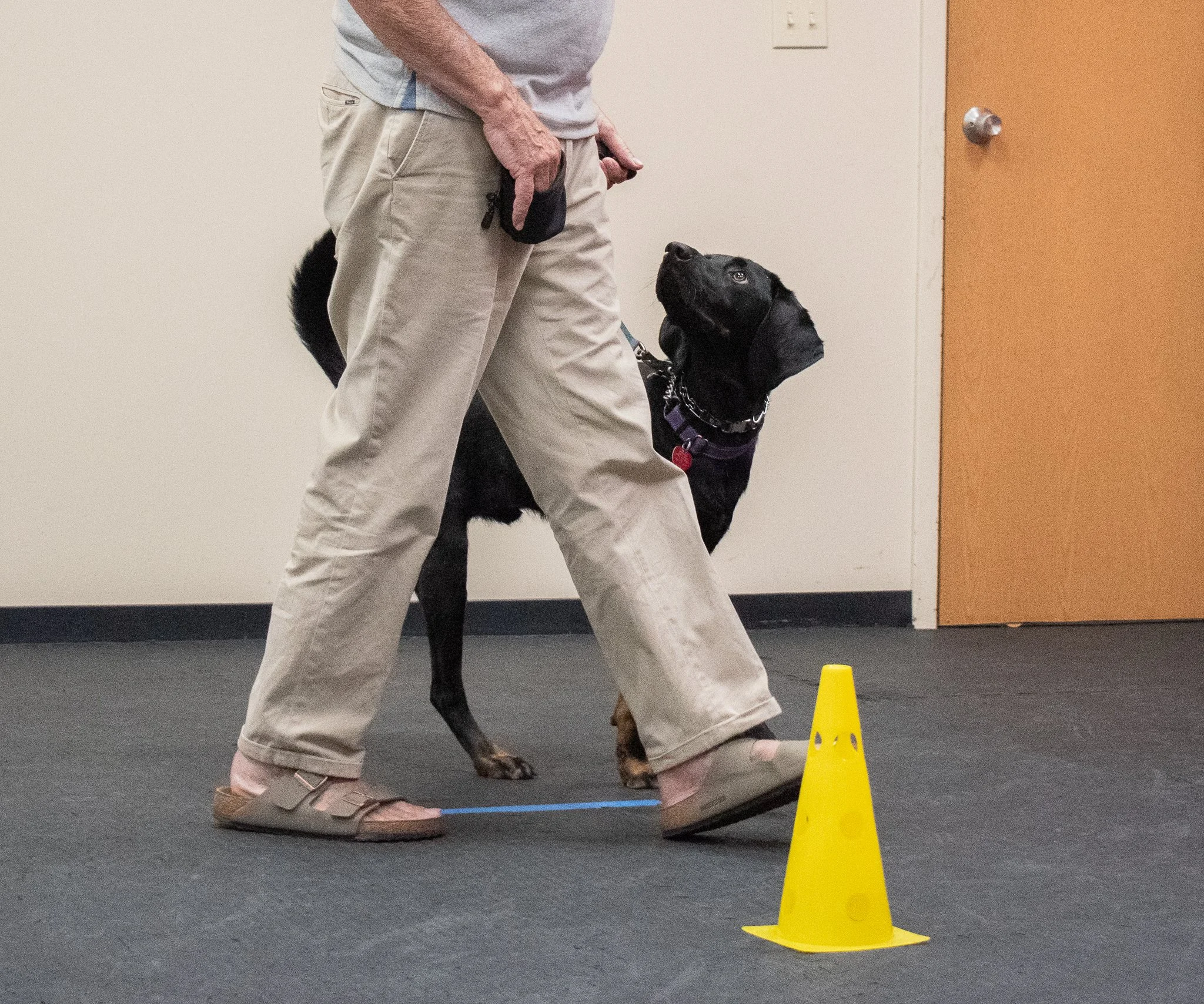 pintublooper1 (1 of 1)-31.jpg