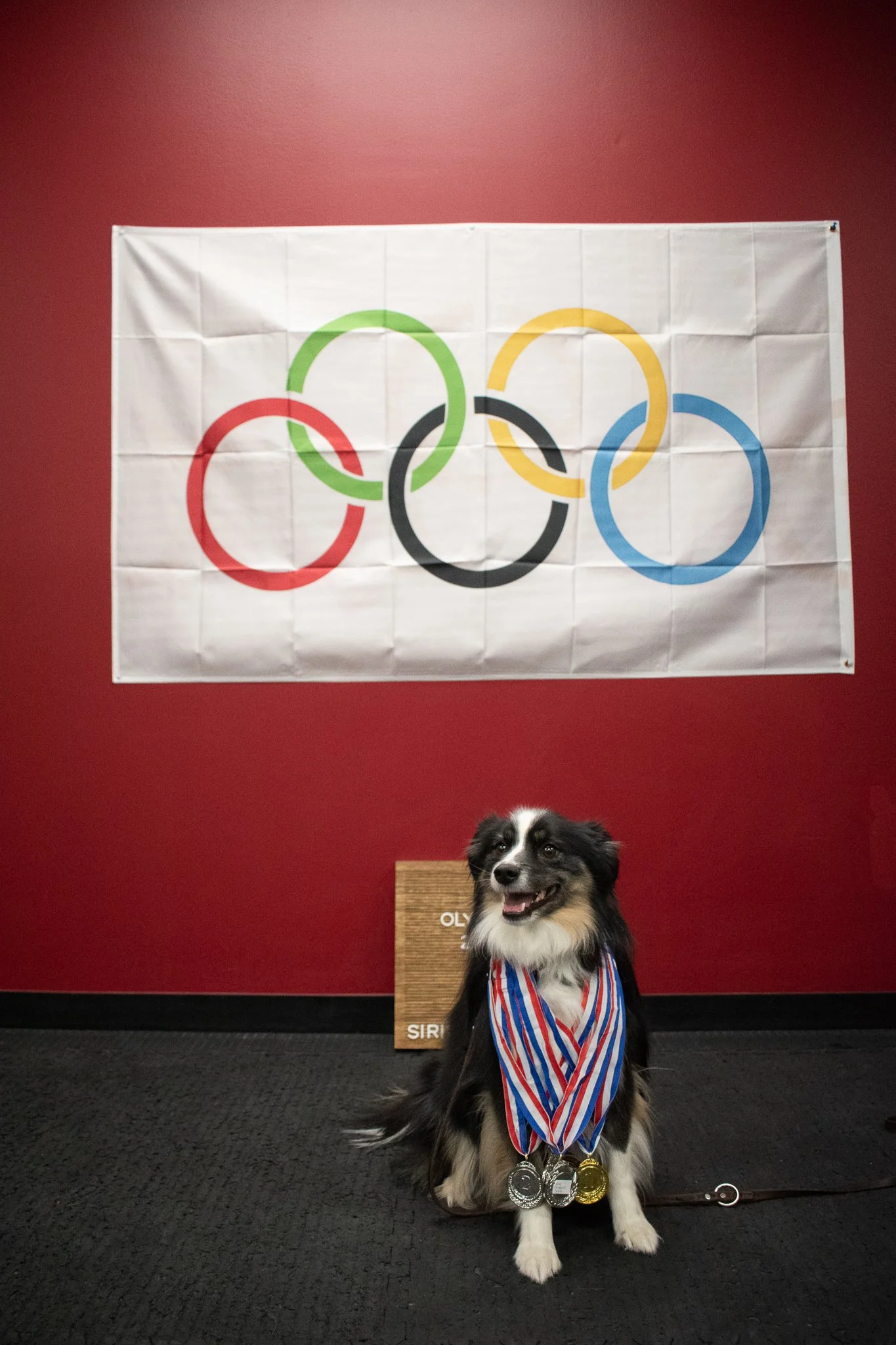 pintublooper1 (1 of 1)-17 (1).jpg