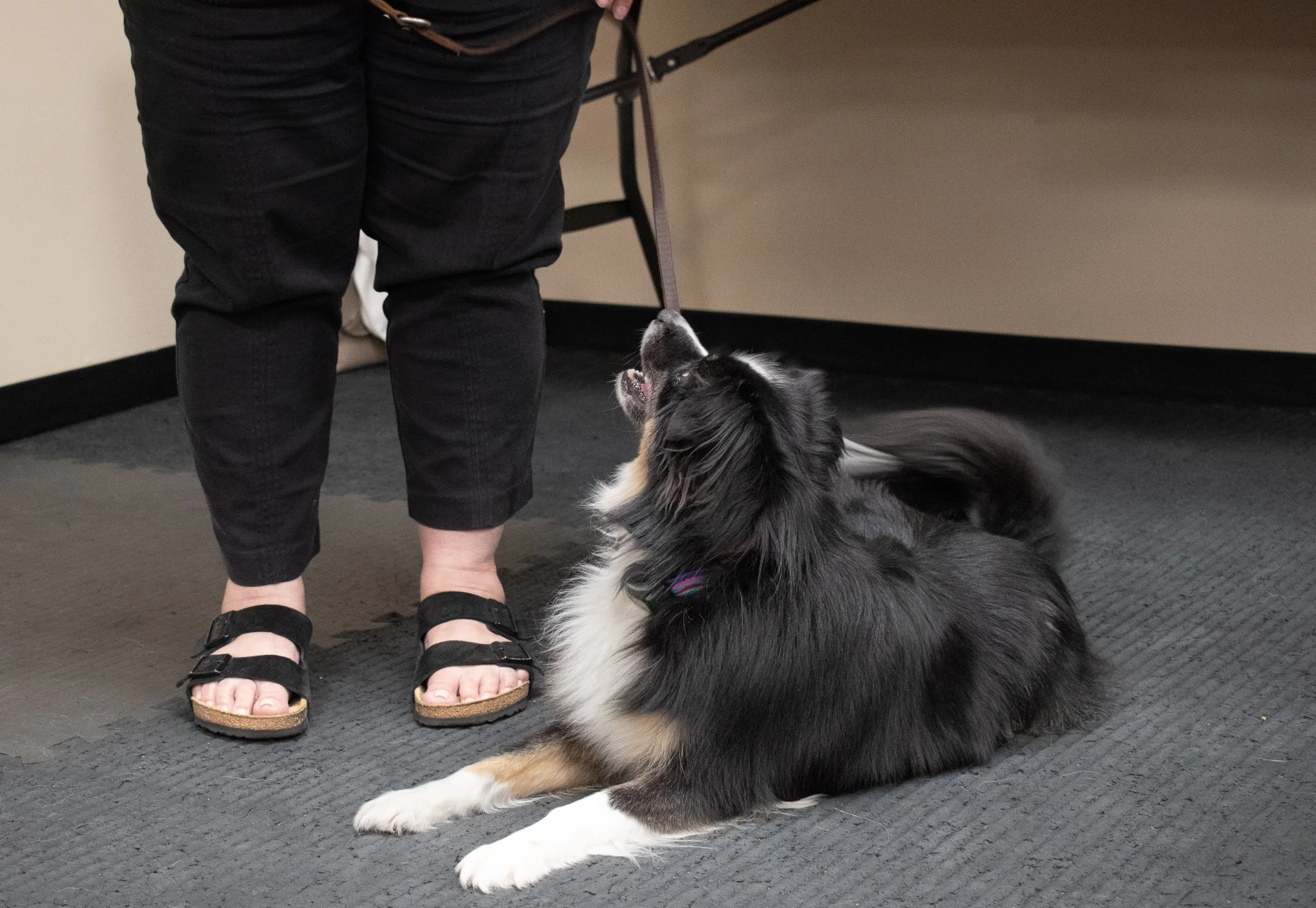 pintublooper1 (1 of 1)-14.jpg