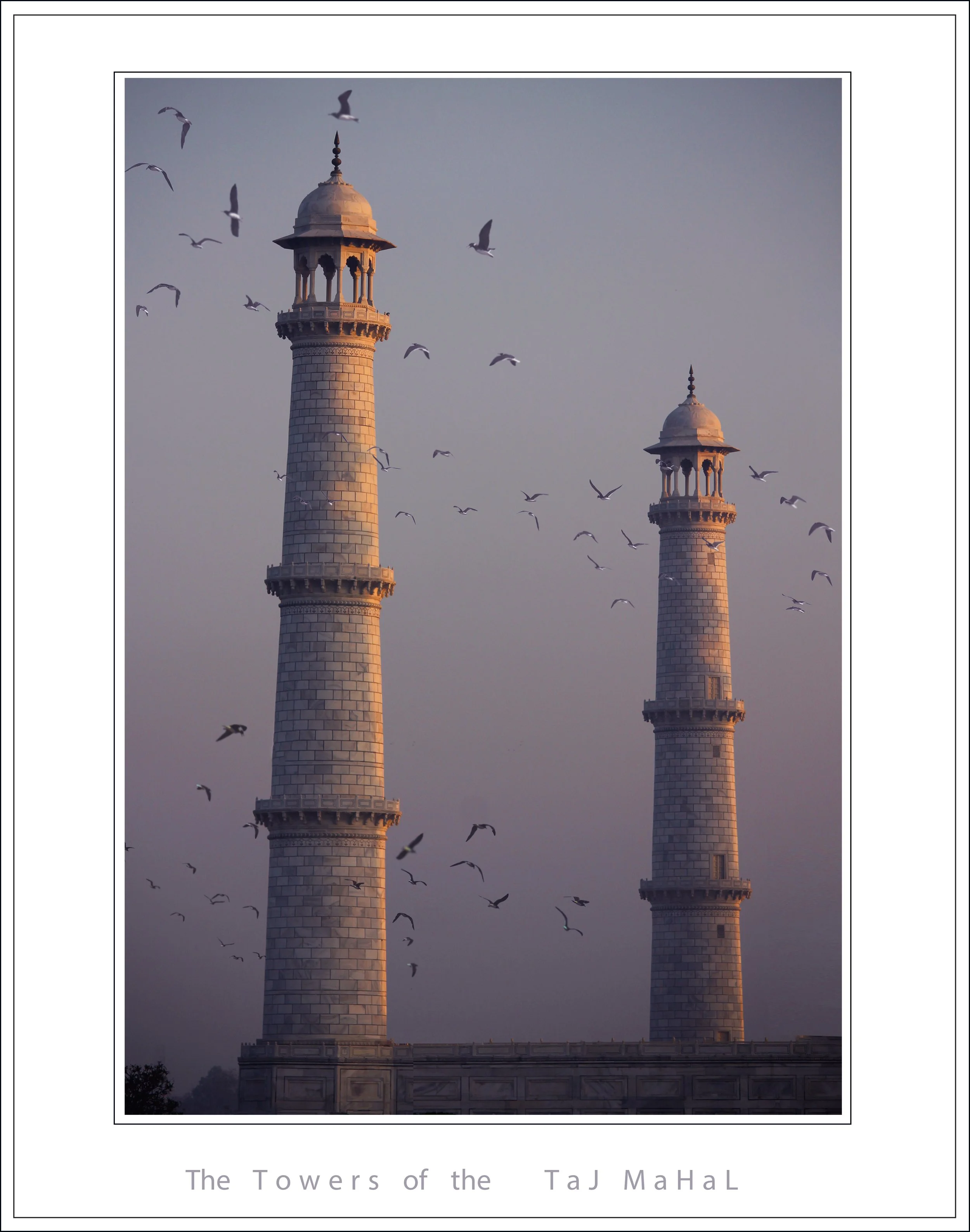 View of two white marble minarets with detailed balconies and domes, against a cloudy sky, with numerous seagulls flying around. The text below indicates the location as 'The Towers of the Taj Mahal.'