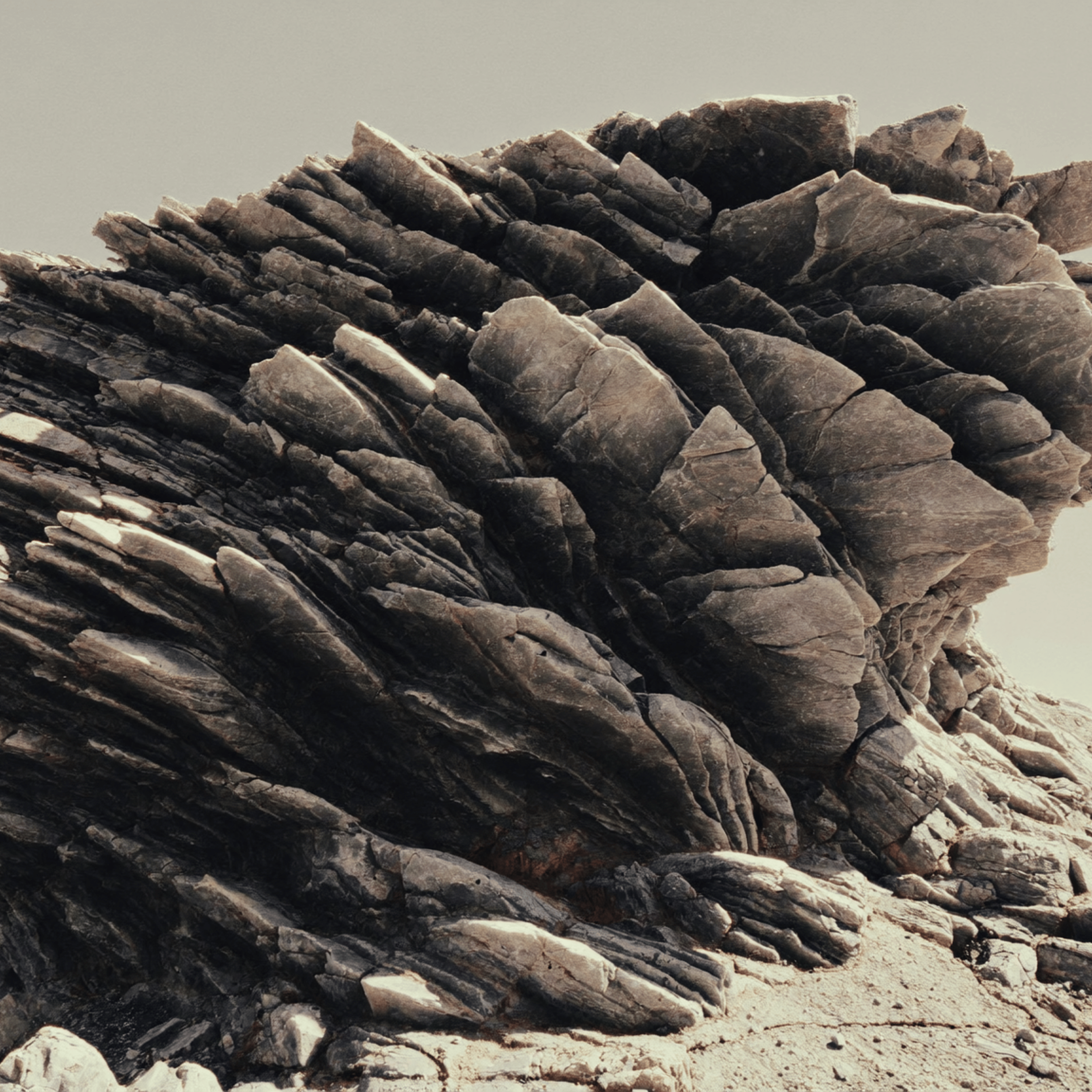 A close-up view of layered, textured rocks or cliffs with a light sky background.
