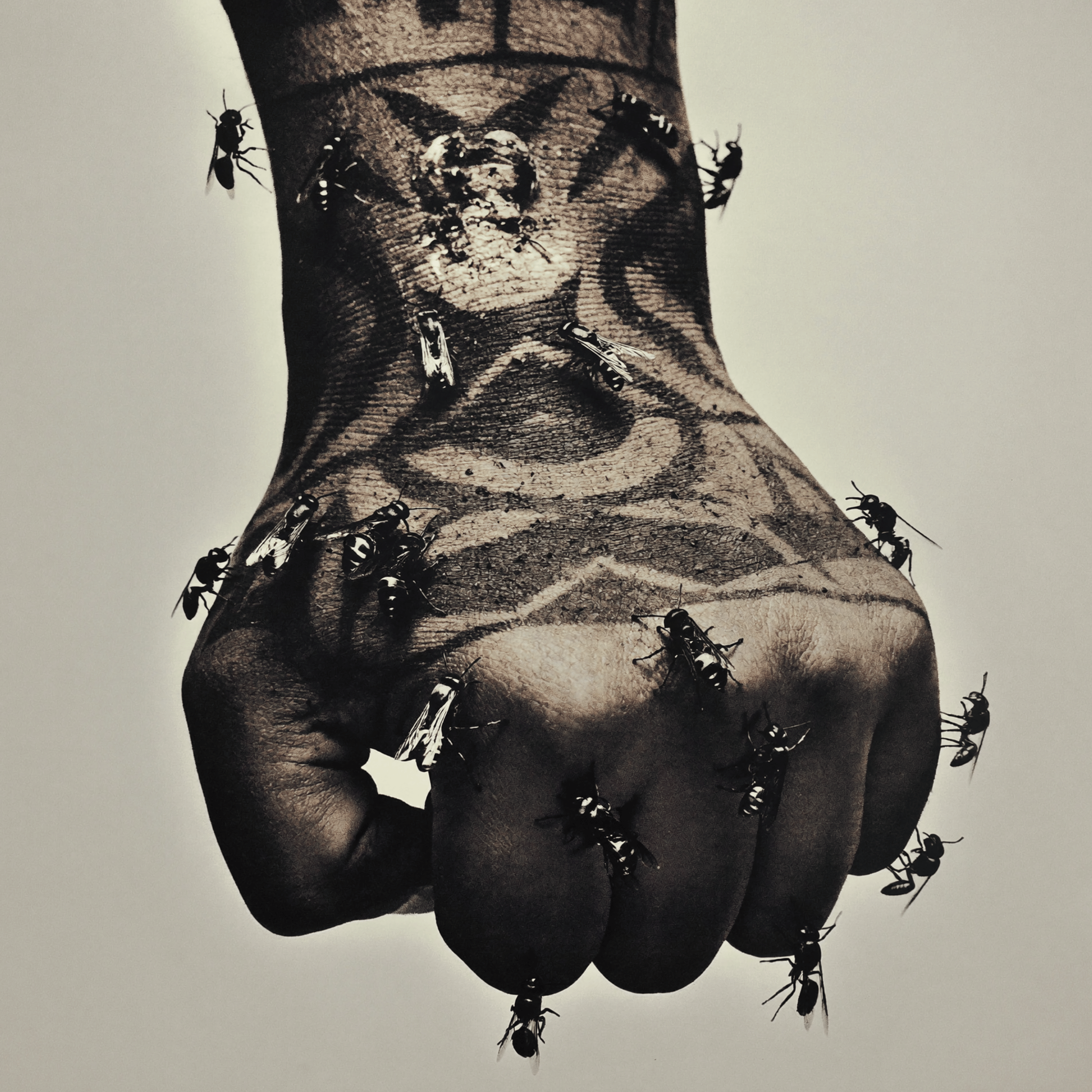 A person’s face is printed in black and white, with the physical features of the person, and insects crawling on the face and neck, visible in the image.