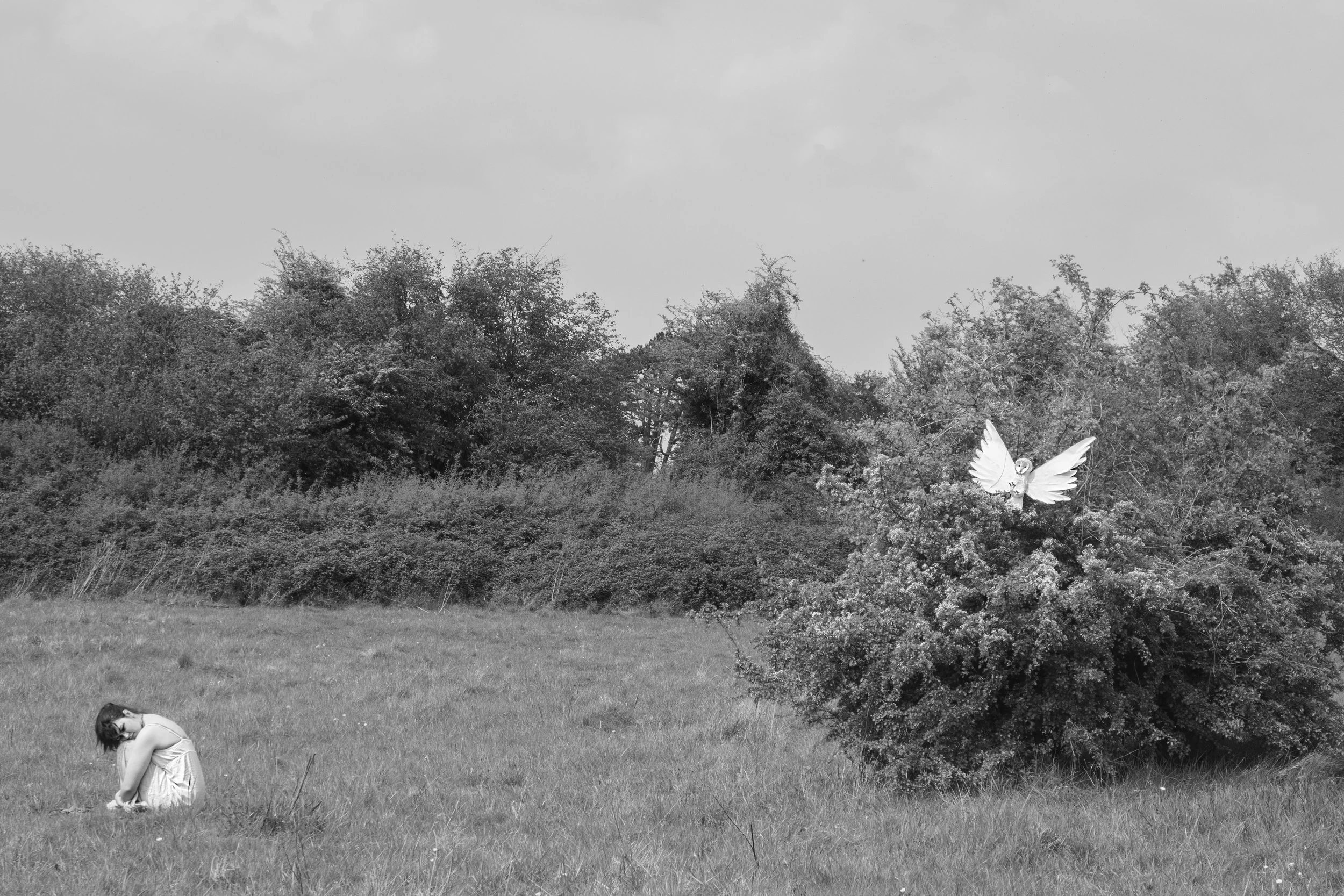 DSC_0175 copy.jpg