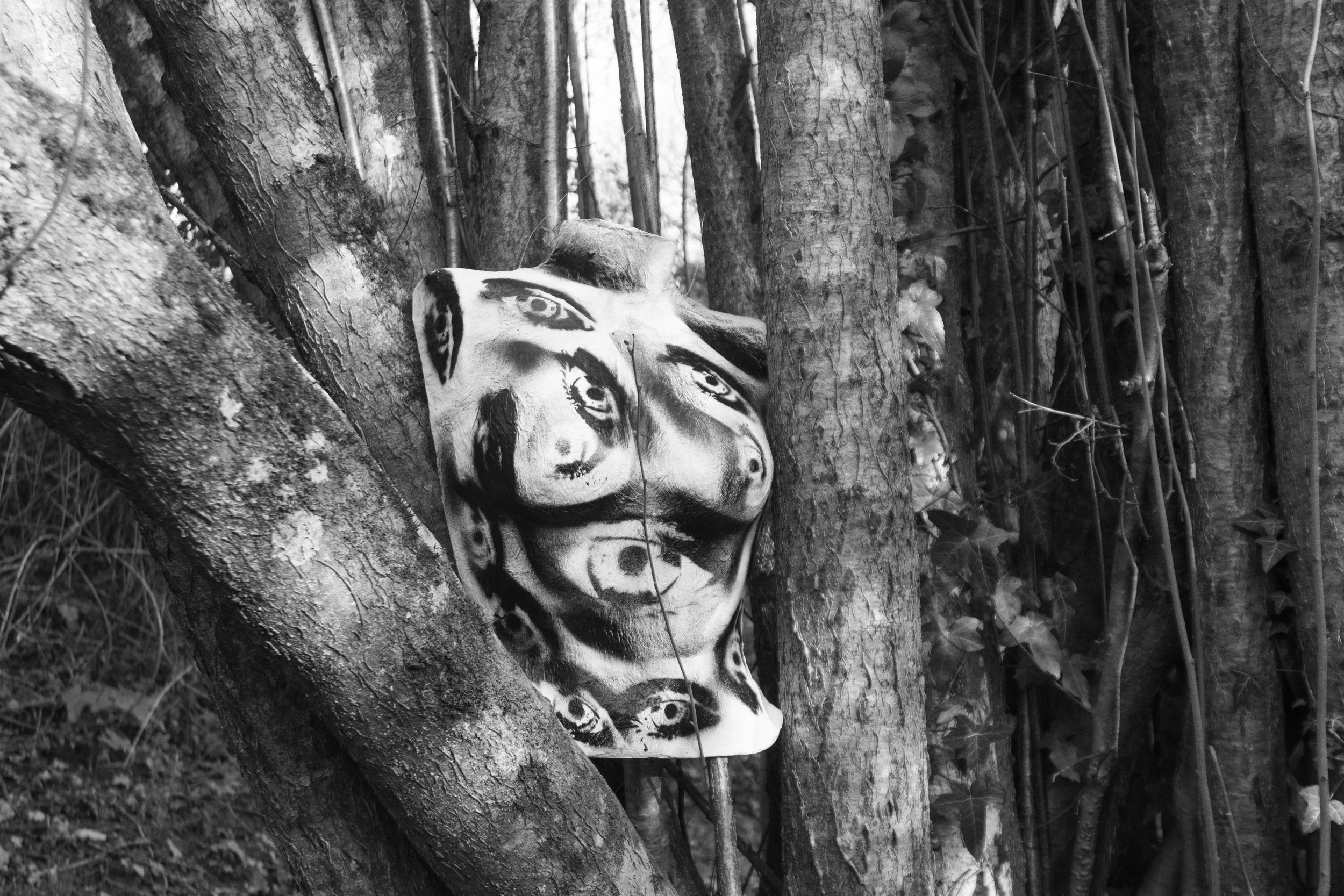 DSC_0040 copy.jpg