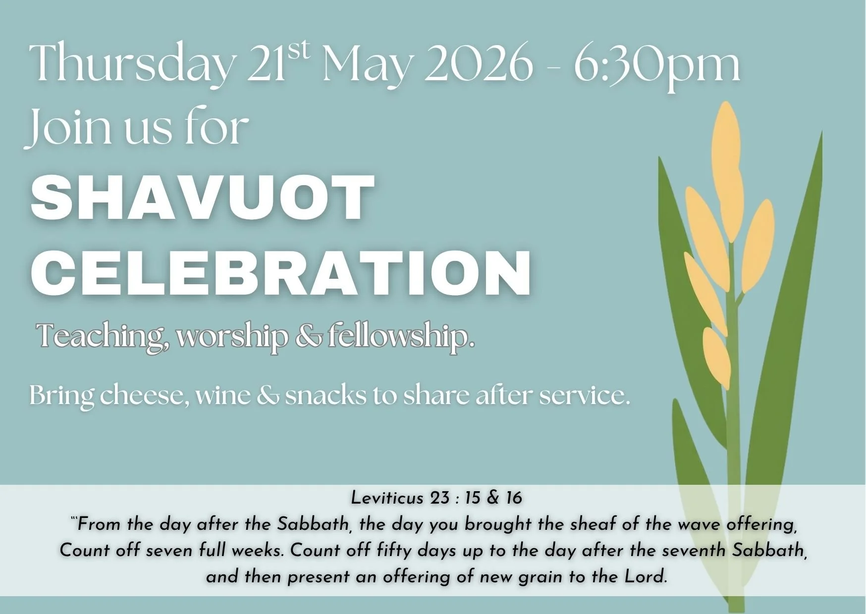 Invitation to a Shavuot celebration on Thursday, May 21, 2026, at 6:30 pm with details about teaching, worship, and fellowship, including bringing cheese, wine, and snacks to share after the service. The background features a light blue-green color with an illustration of a yellow flower, and a quote from Leviticus 23:15-16 at the bottom.