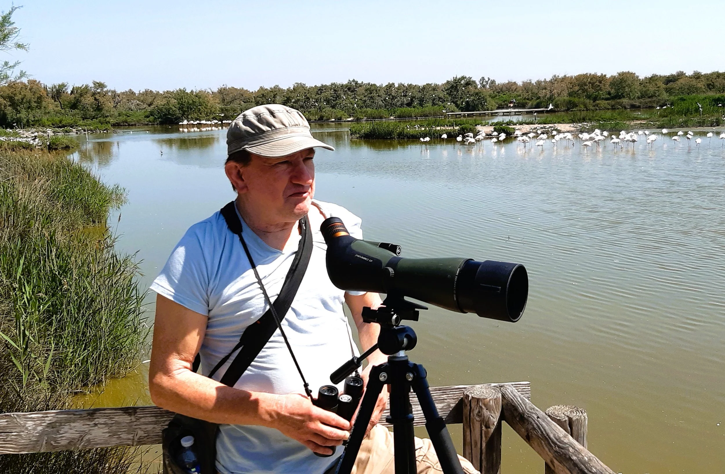 Older man standing by a lake with binoculars and a telescope, observing a flock of white birds, with green vegetation and trees in the background.