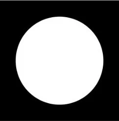 A white circle centered on a black background.