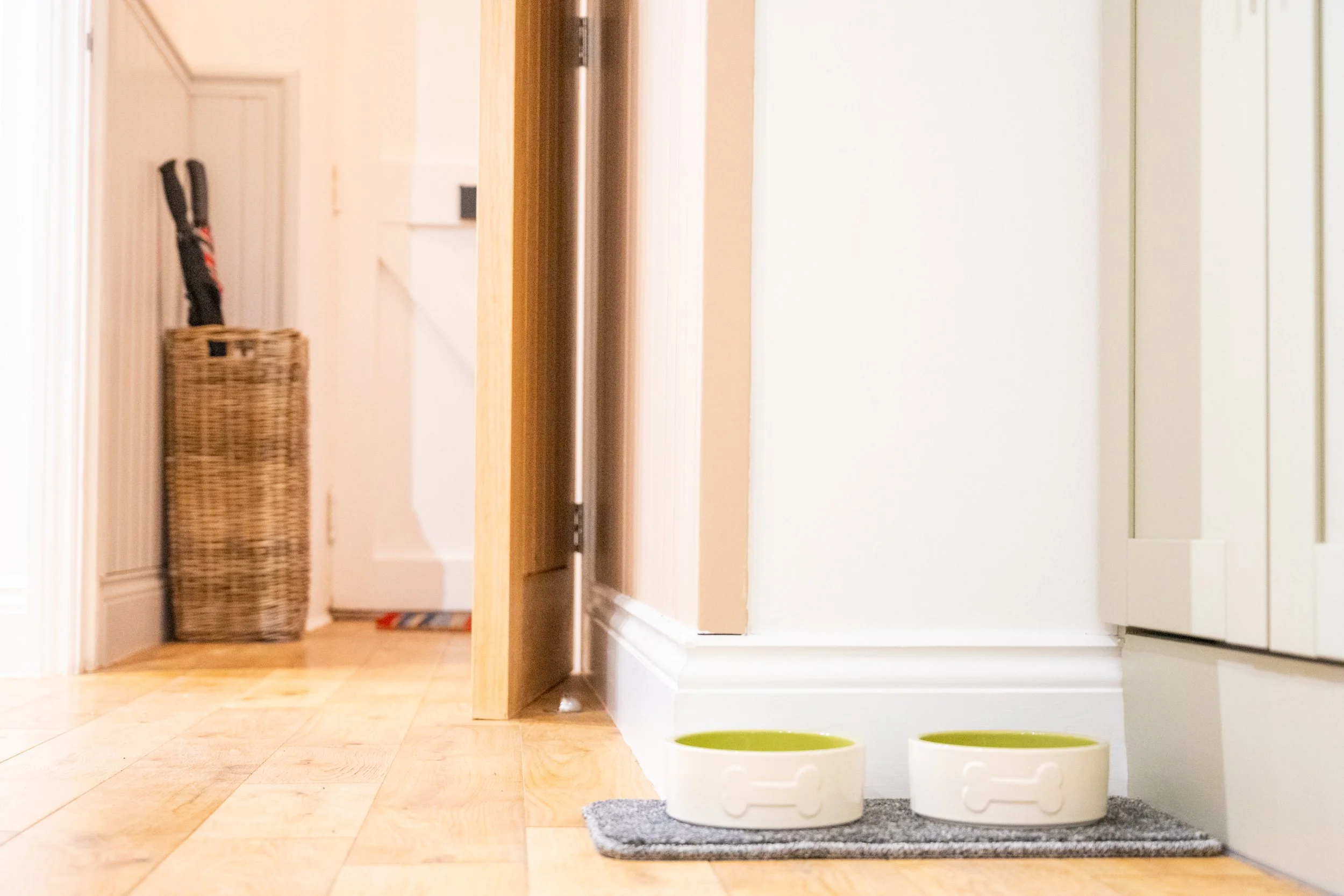Two white pet bowls with green inside on a gray rug in a doorway, with a basket and umbrella stand in the background.