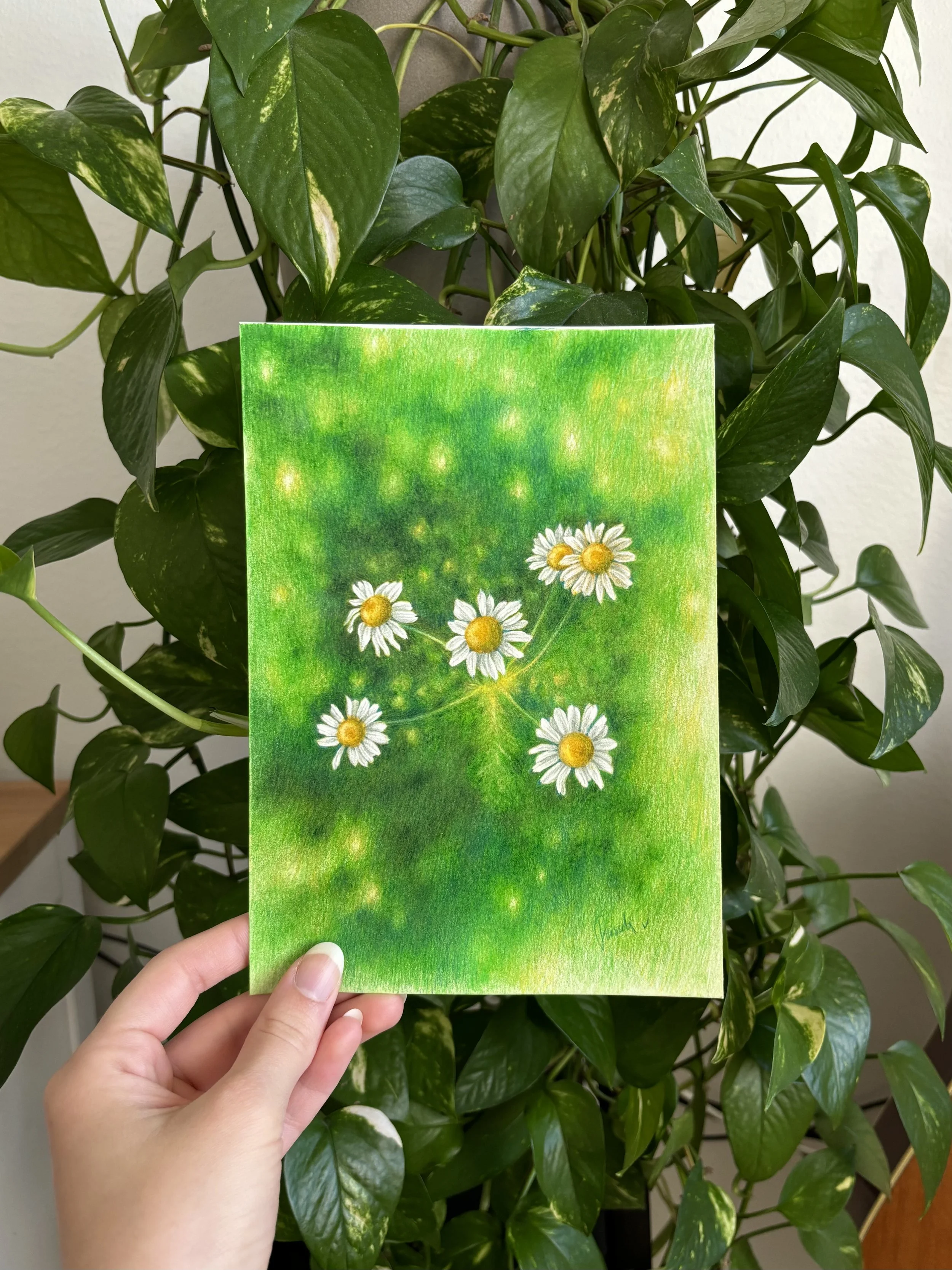 Untilted (2024), color pencil on paper, A5