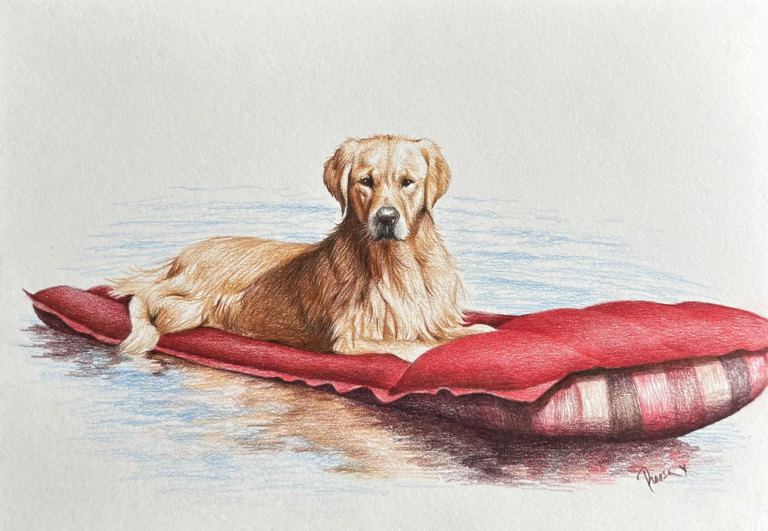 Pet Portrait "Wille"