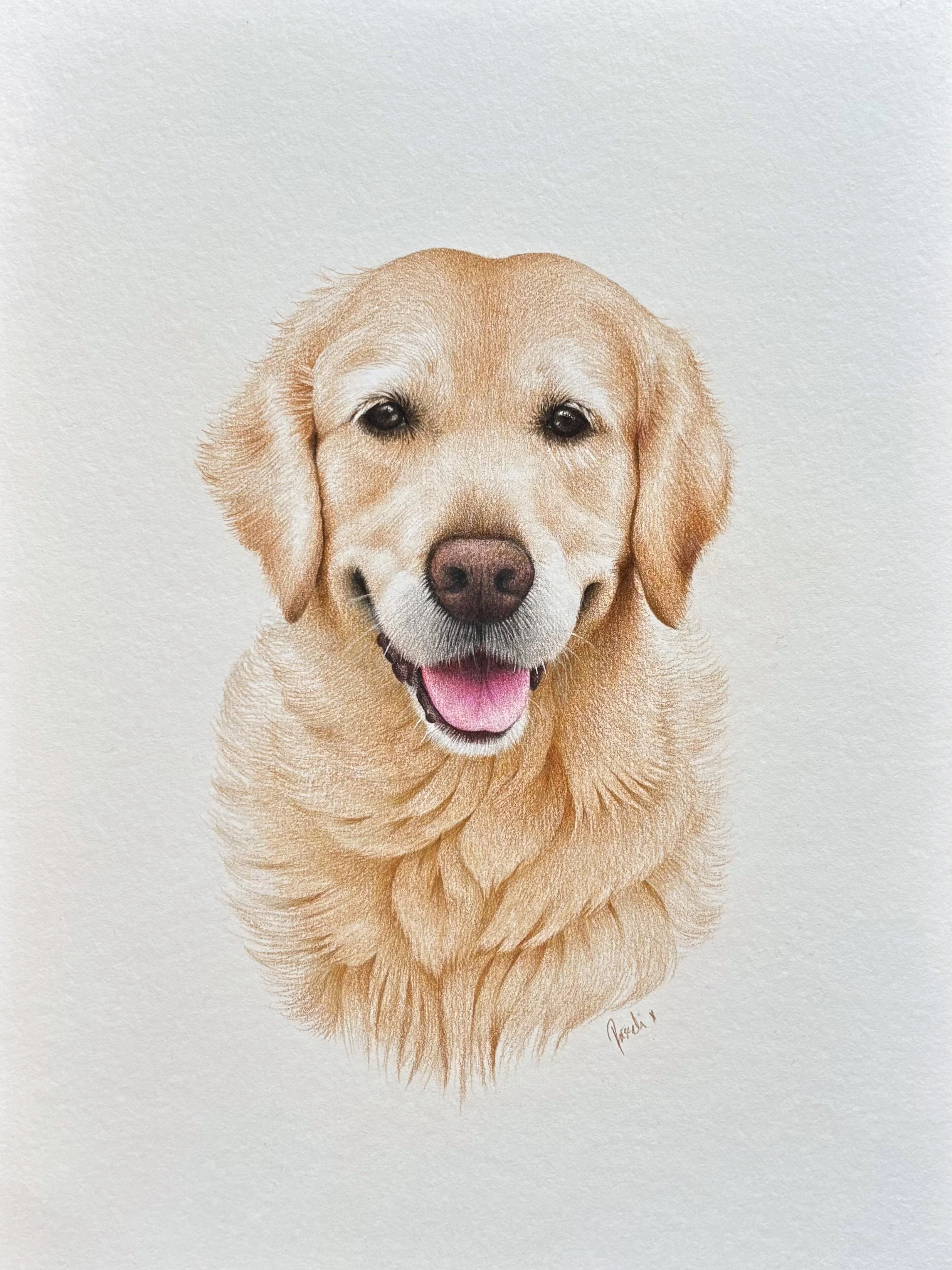 Pet Portrait "Justus"