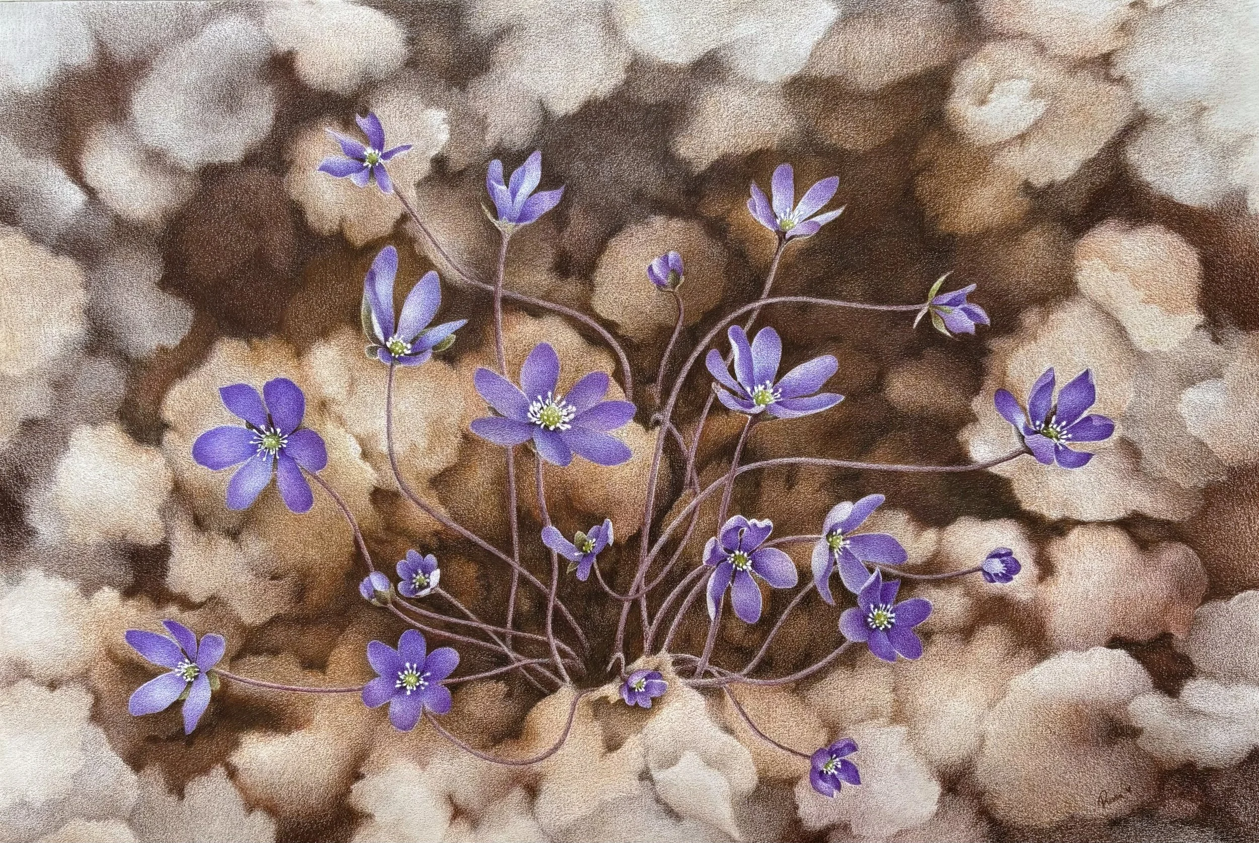 Waking up (2026), color pencil on paper, A2