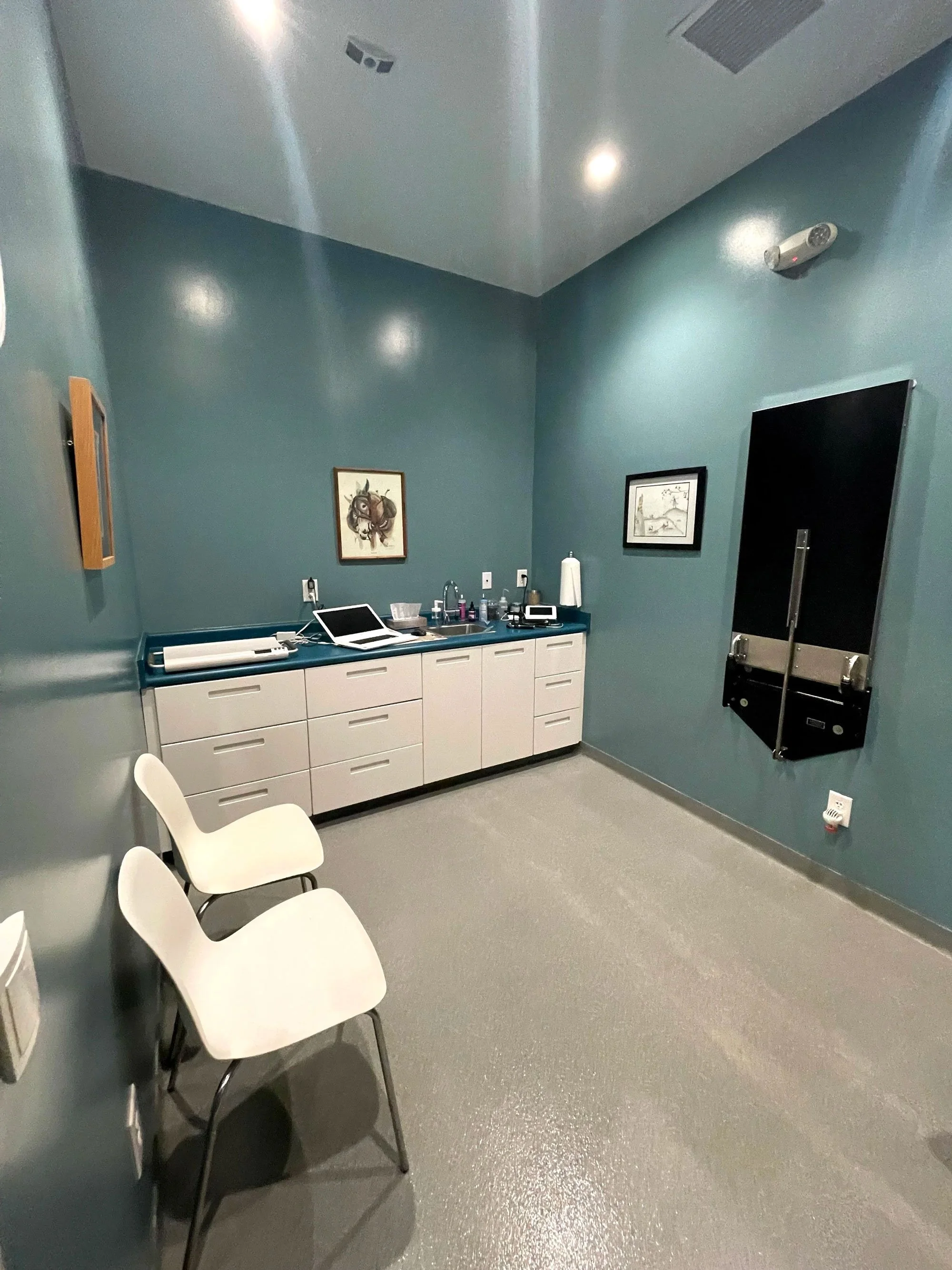 A veterinarian clinic interior with Insl-X Tough Shield paint, creates a soothing and resilient space for animals.