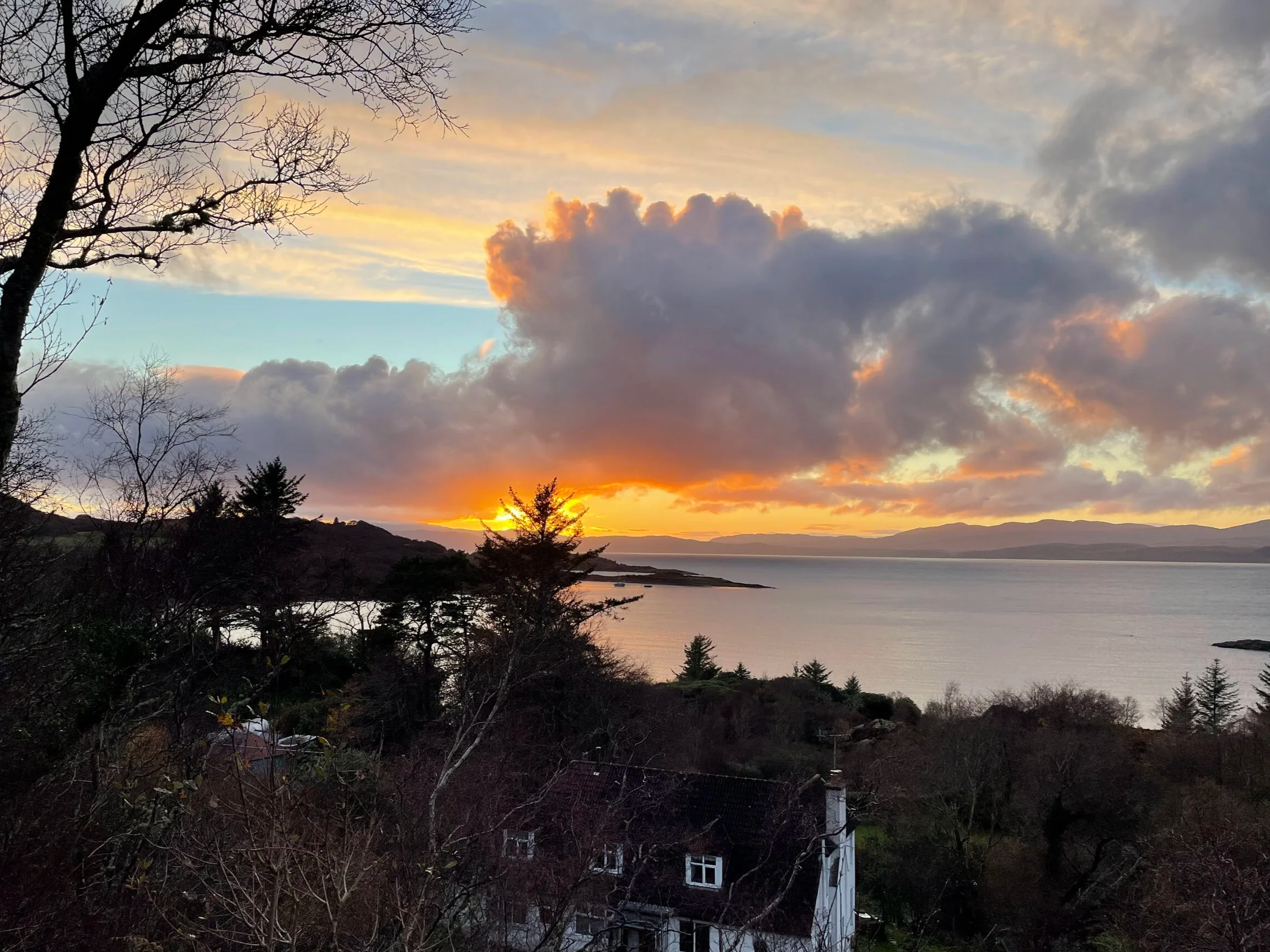 cloudy sunset over a sea loch, with trees in the foreground