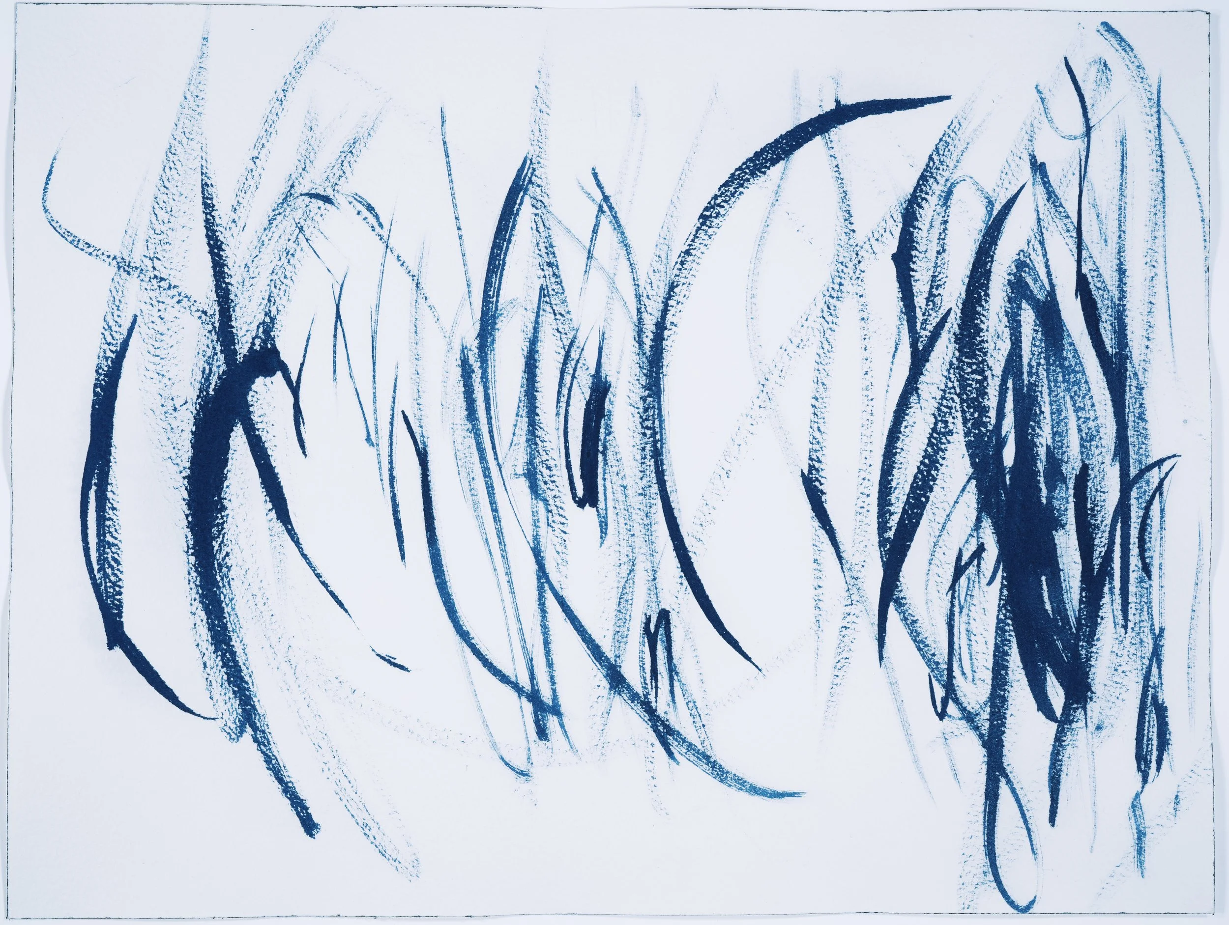 _scan00079.jpg