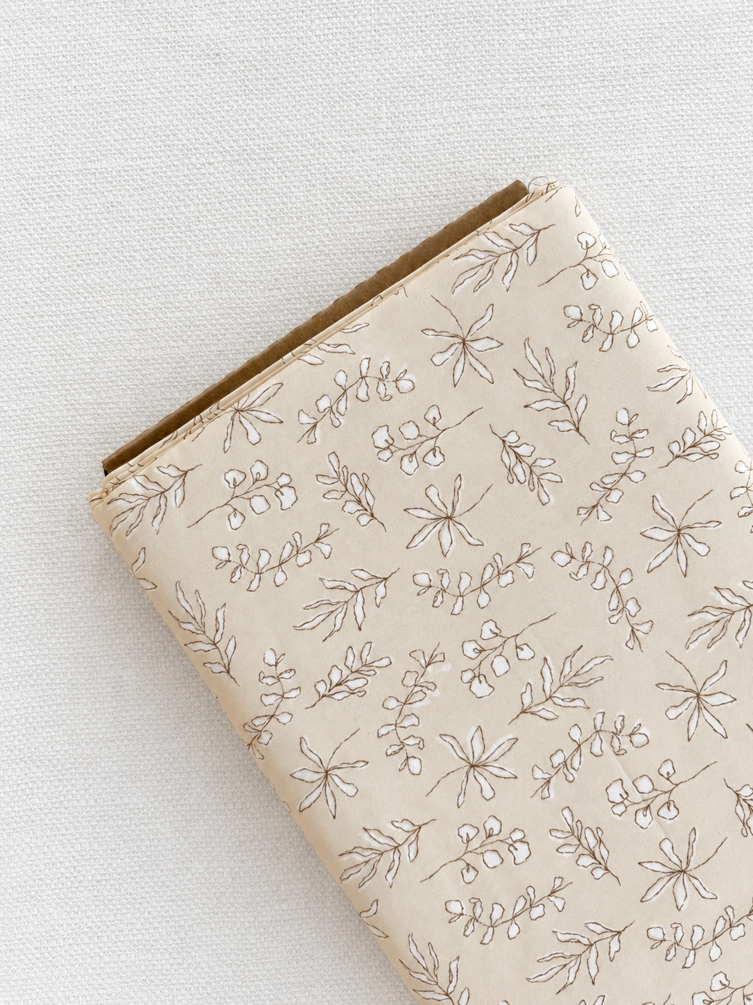 Sunbleached Leaves