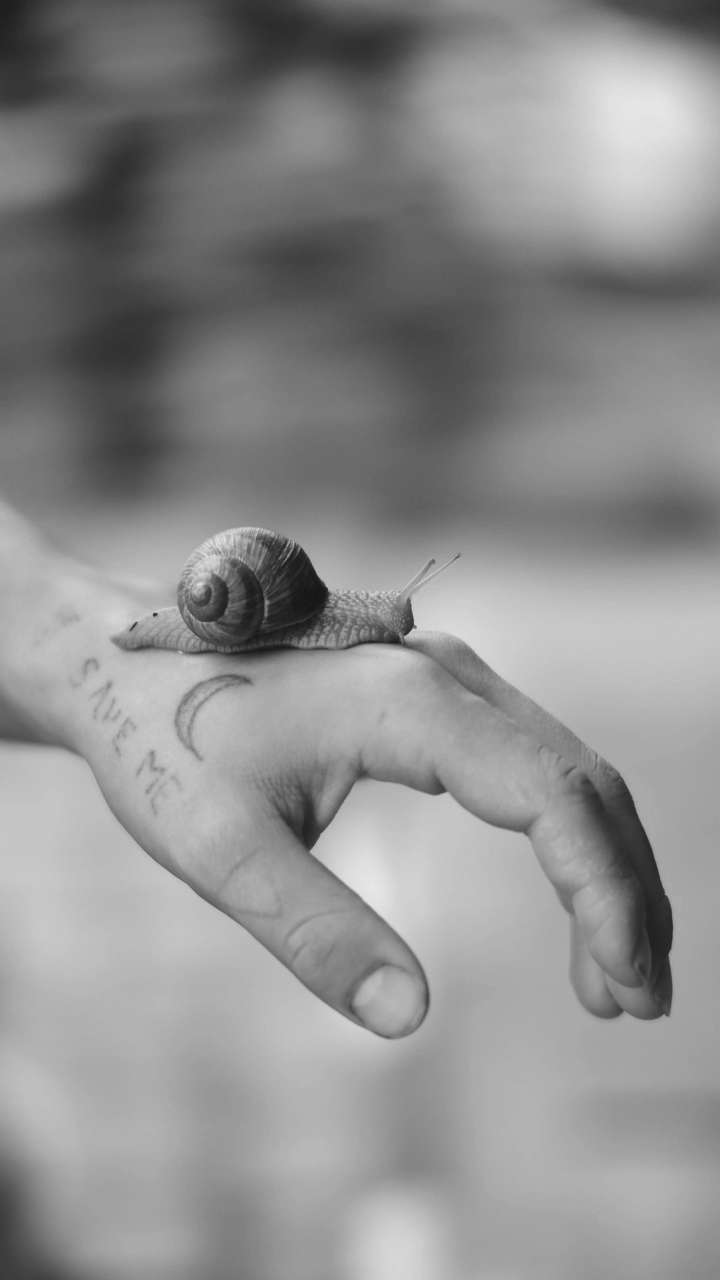 Why Slow Movement Might Be the Thing That Actually Works