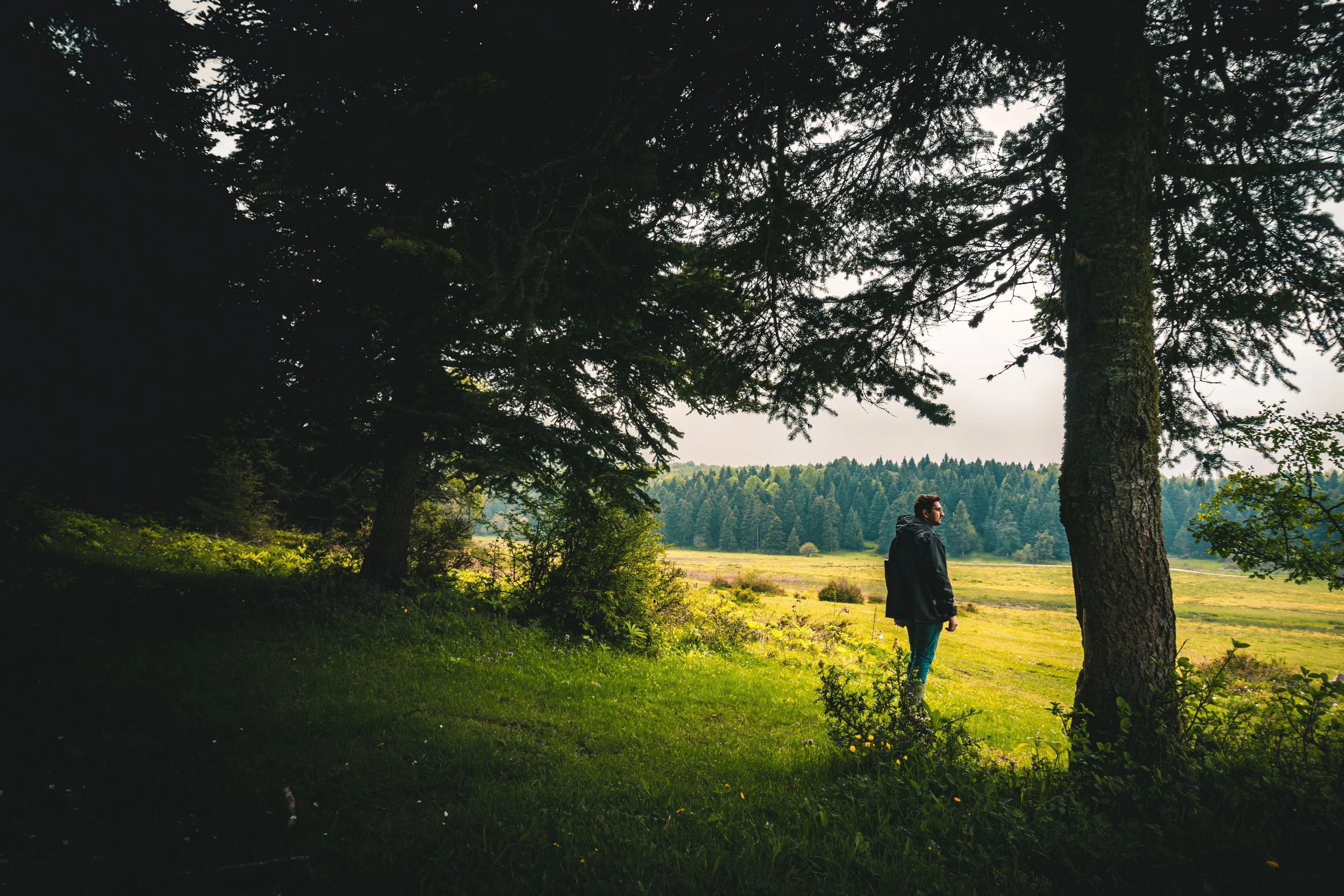"If we are crying, nature is still gonna hold us" | How Nature Serves Us in Therapy w/ Zara Drapkin LCSW