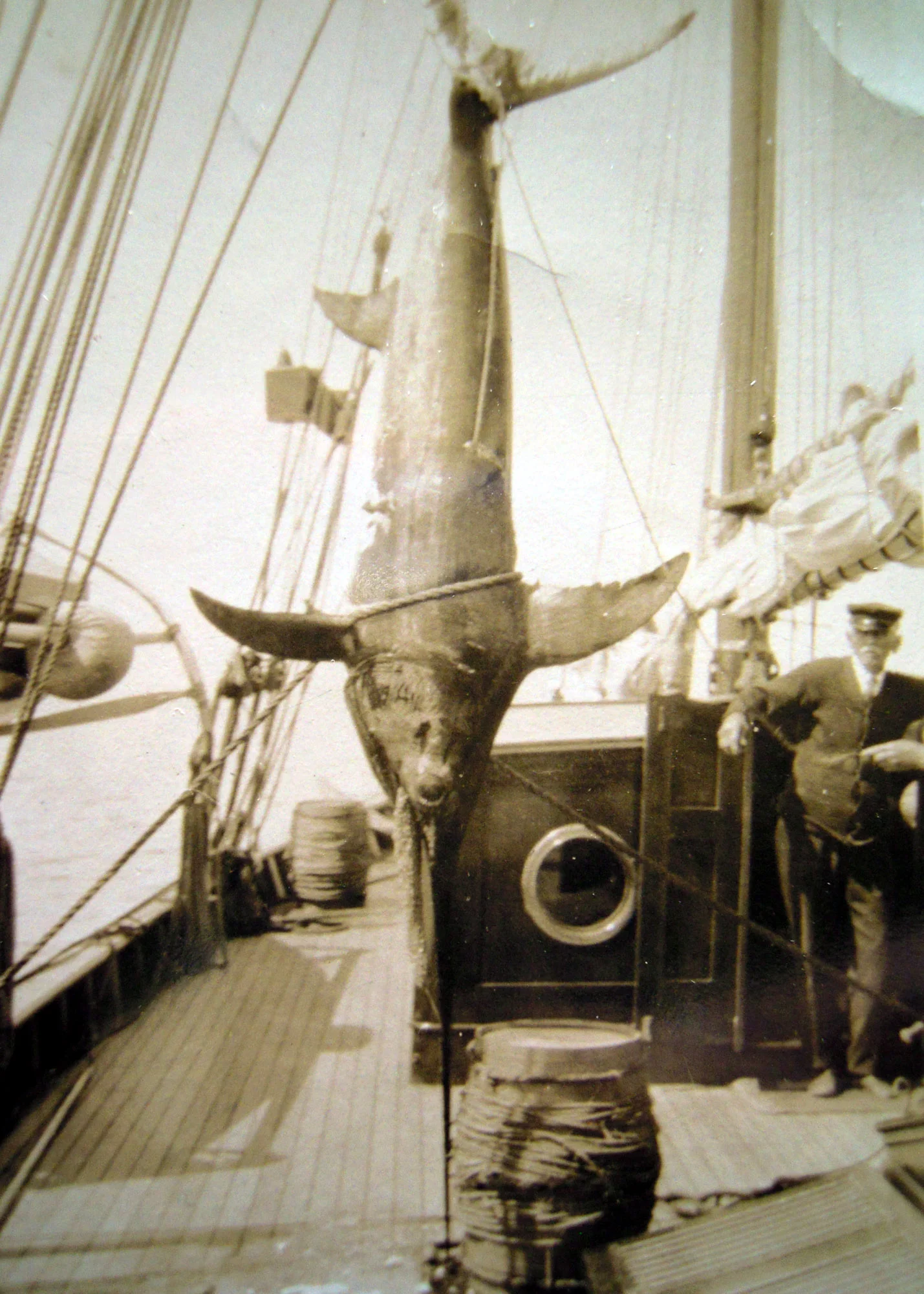 Sailing with the Loring family. What a catch!