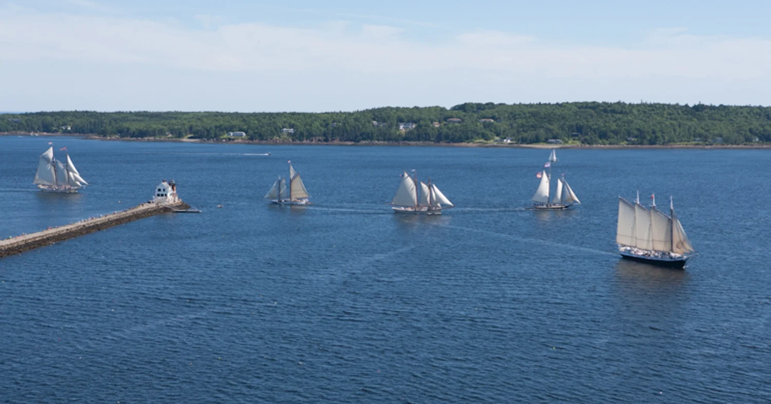 The Great Schooner Race. Photo: Ben Magro