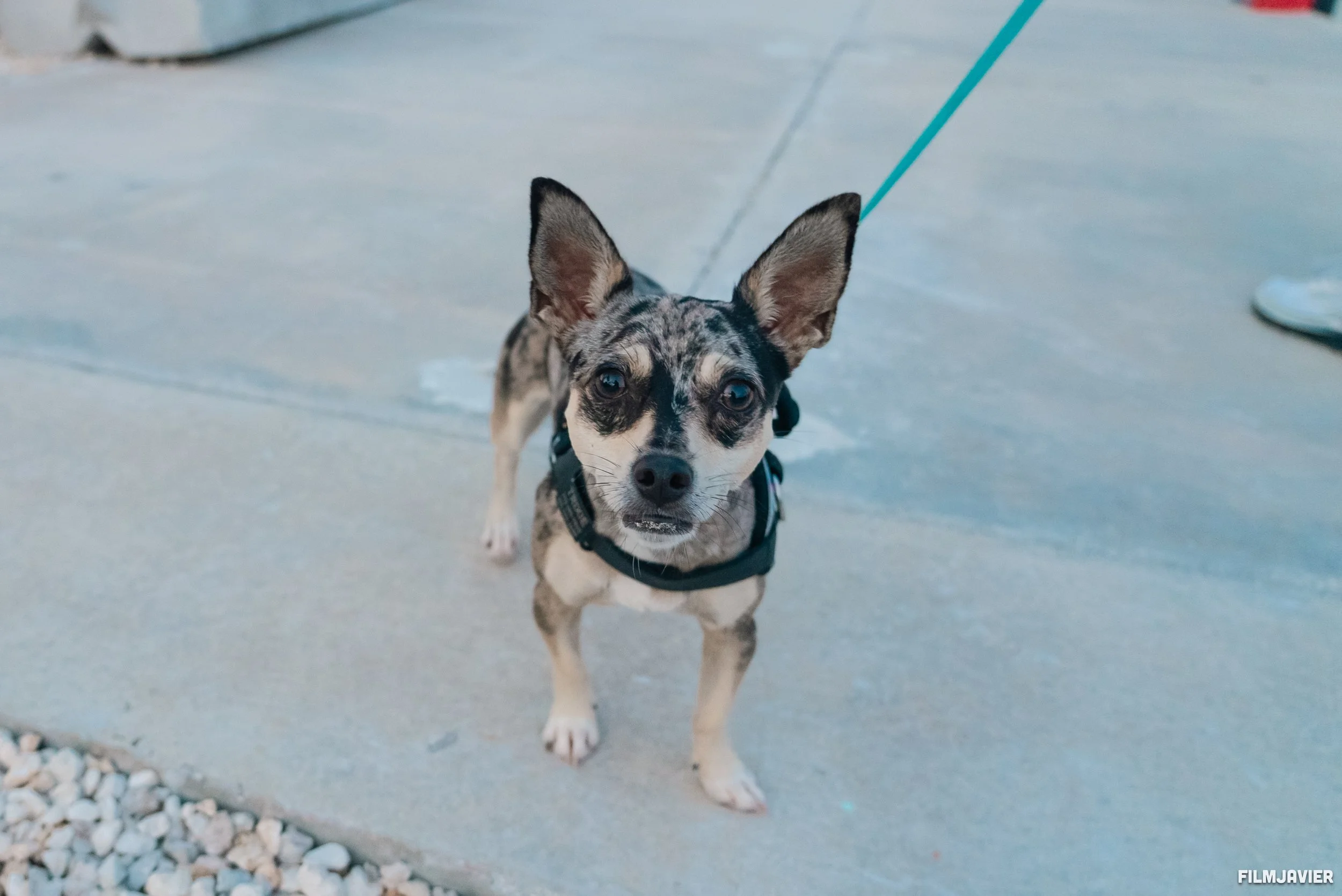 2024_09_28 CONCH SCRAMBLE-56.jpg